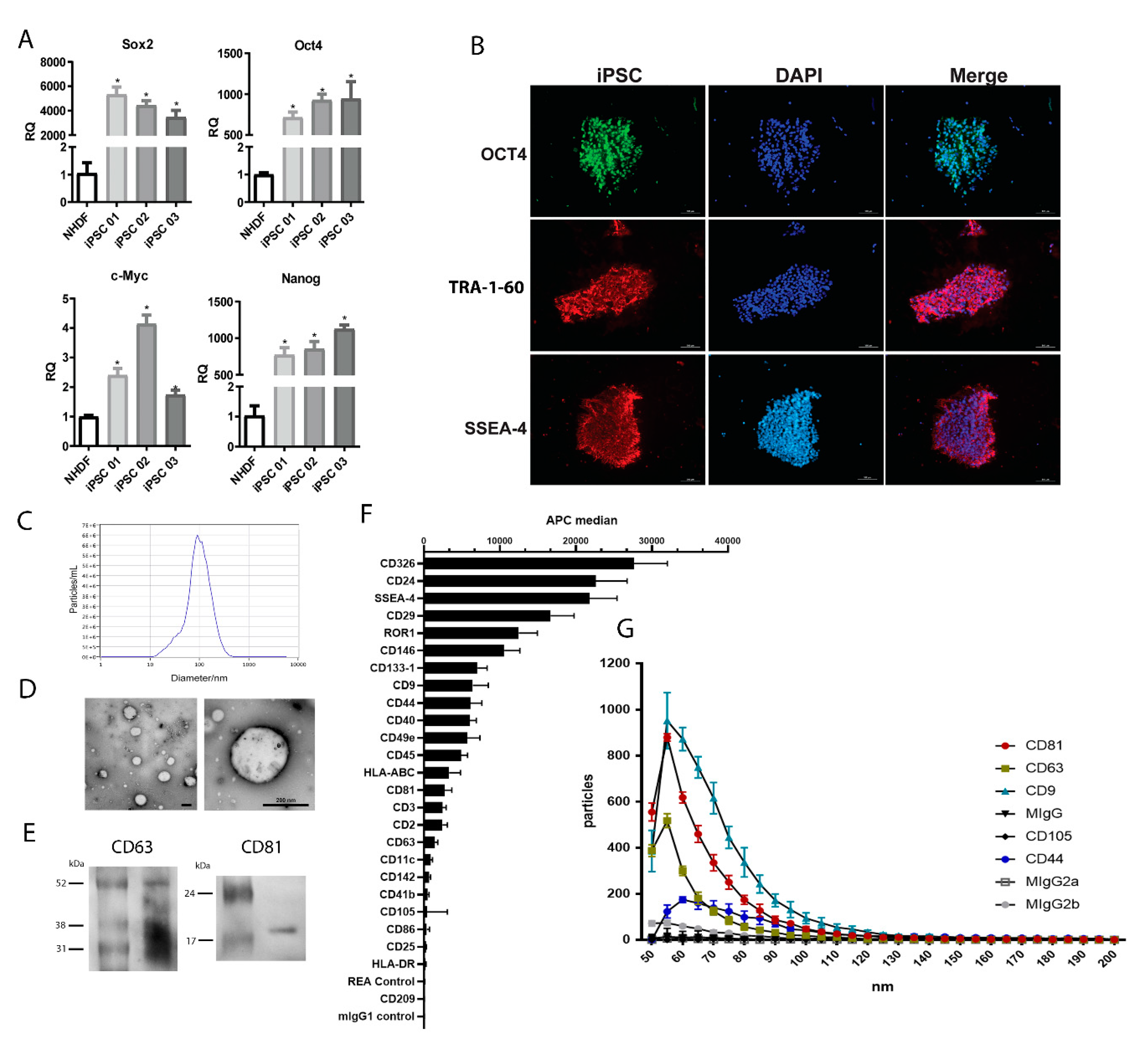 Cells 09 00453 g001 Cells 09 00453 g001
