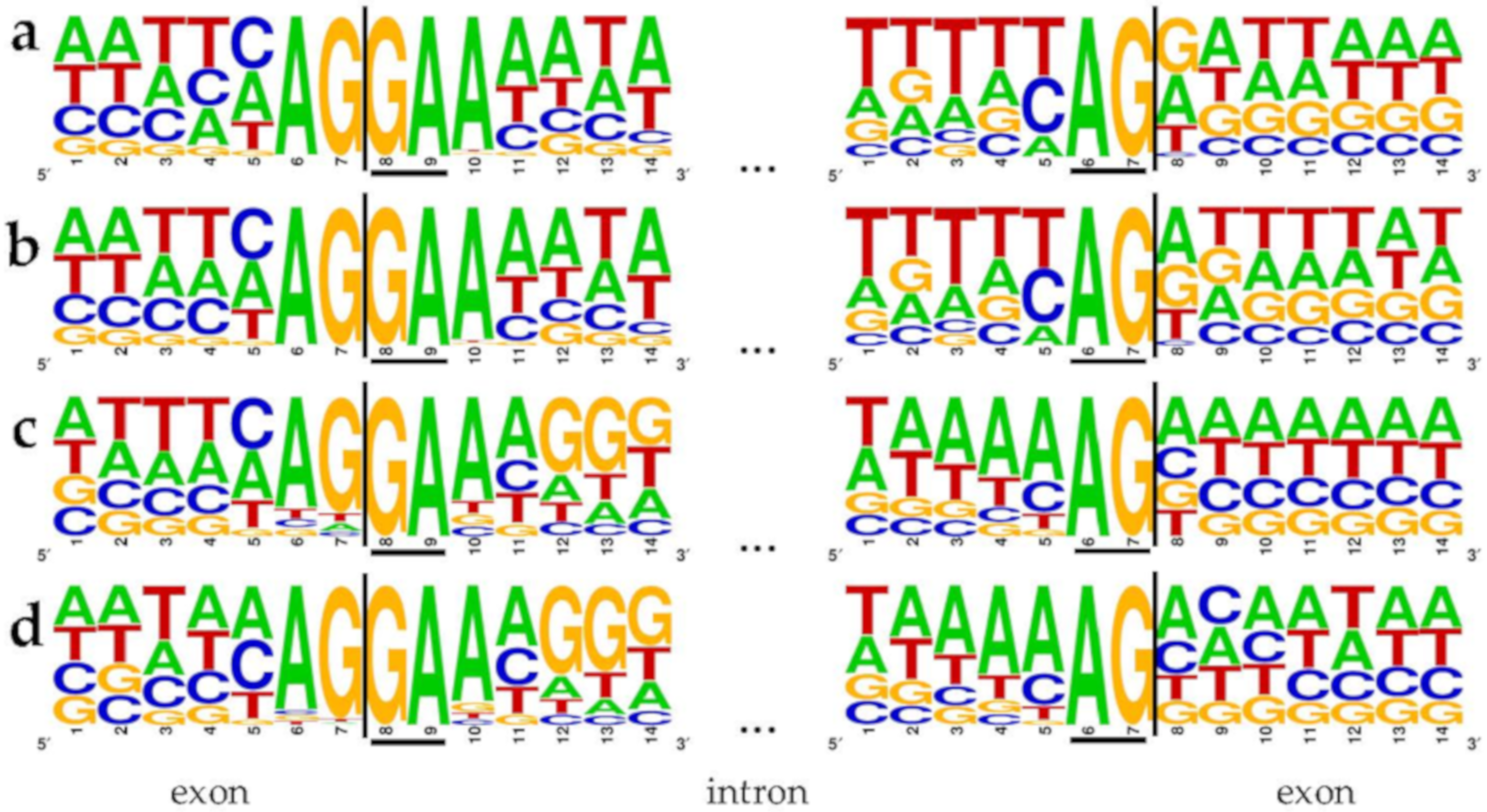 Cells 09 00458 g002 Cells 09 00458 g002