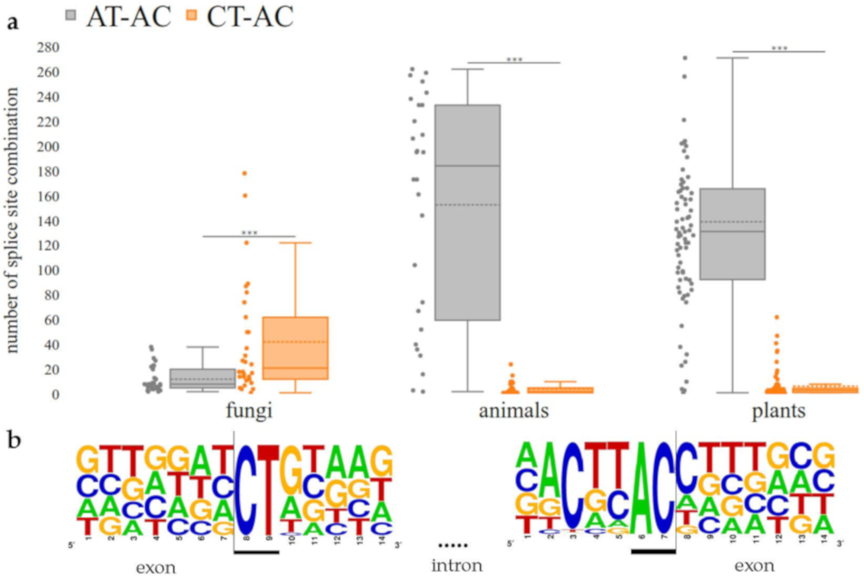 Cells 09 00458 g003 Cells 09 00458 g003