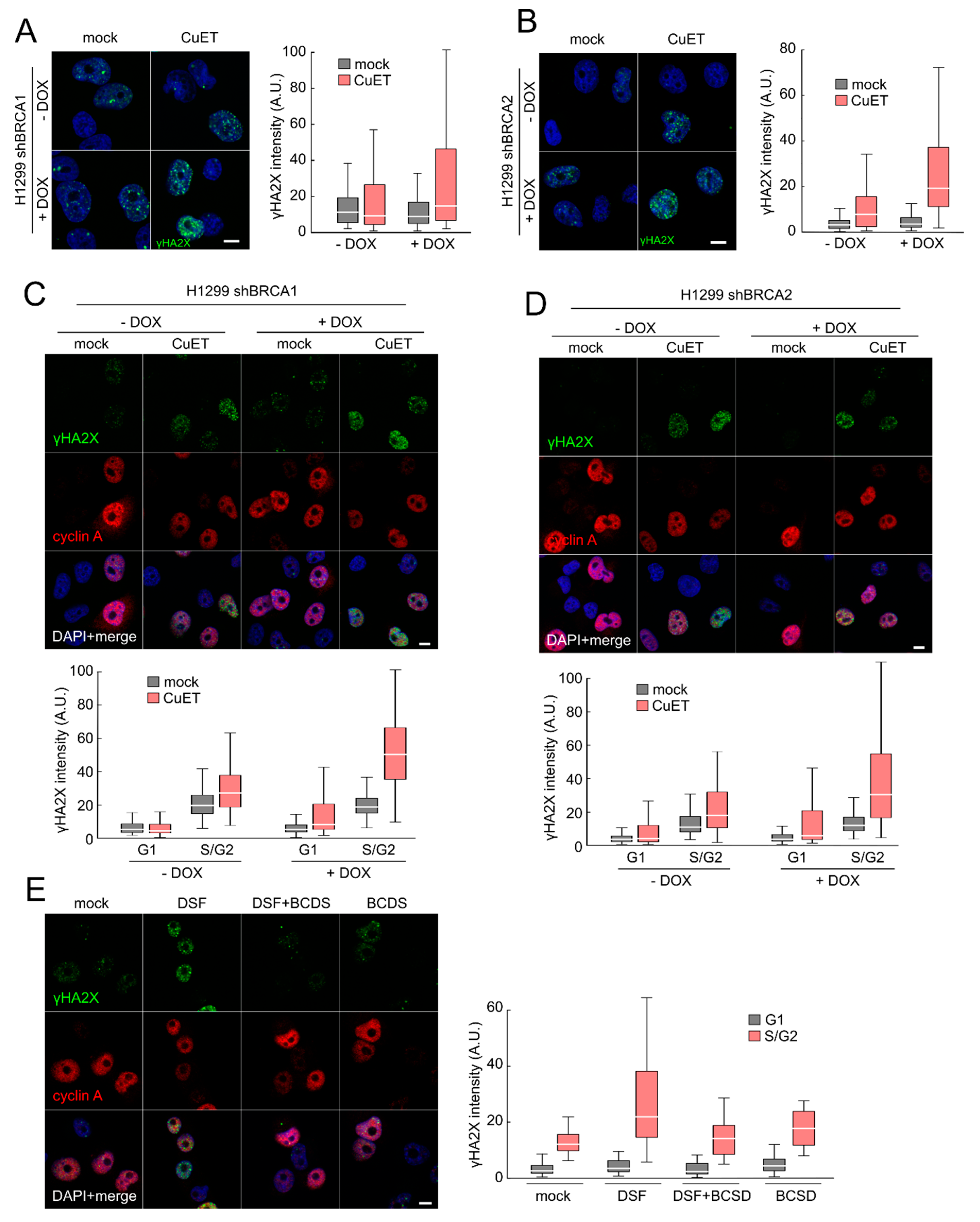 Cells 09 00469 g001 Cells 09 00469 g001