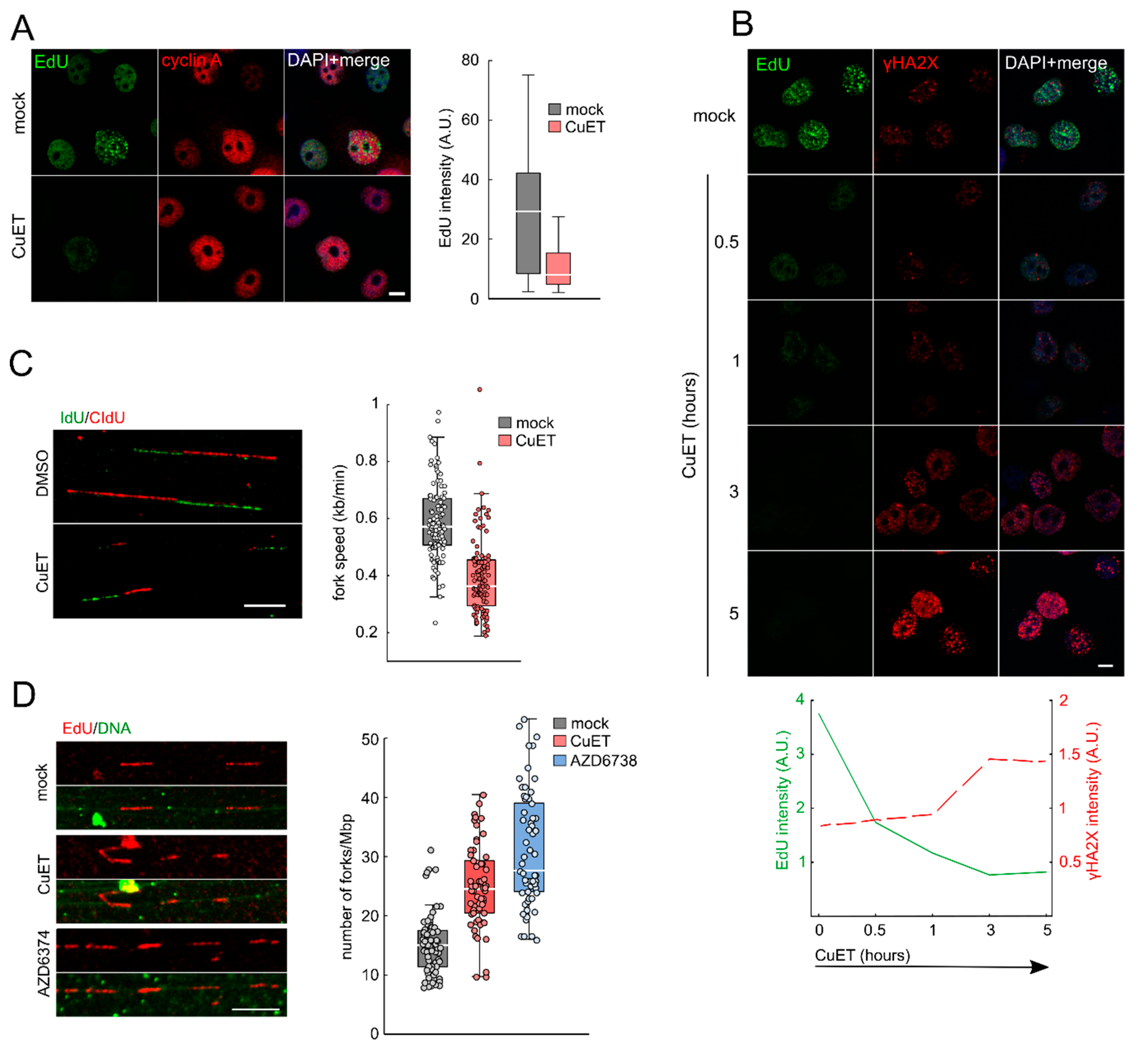 Cells 09 00469 g002 Cells 09 00469 g002