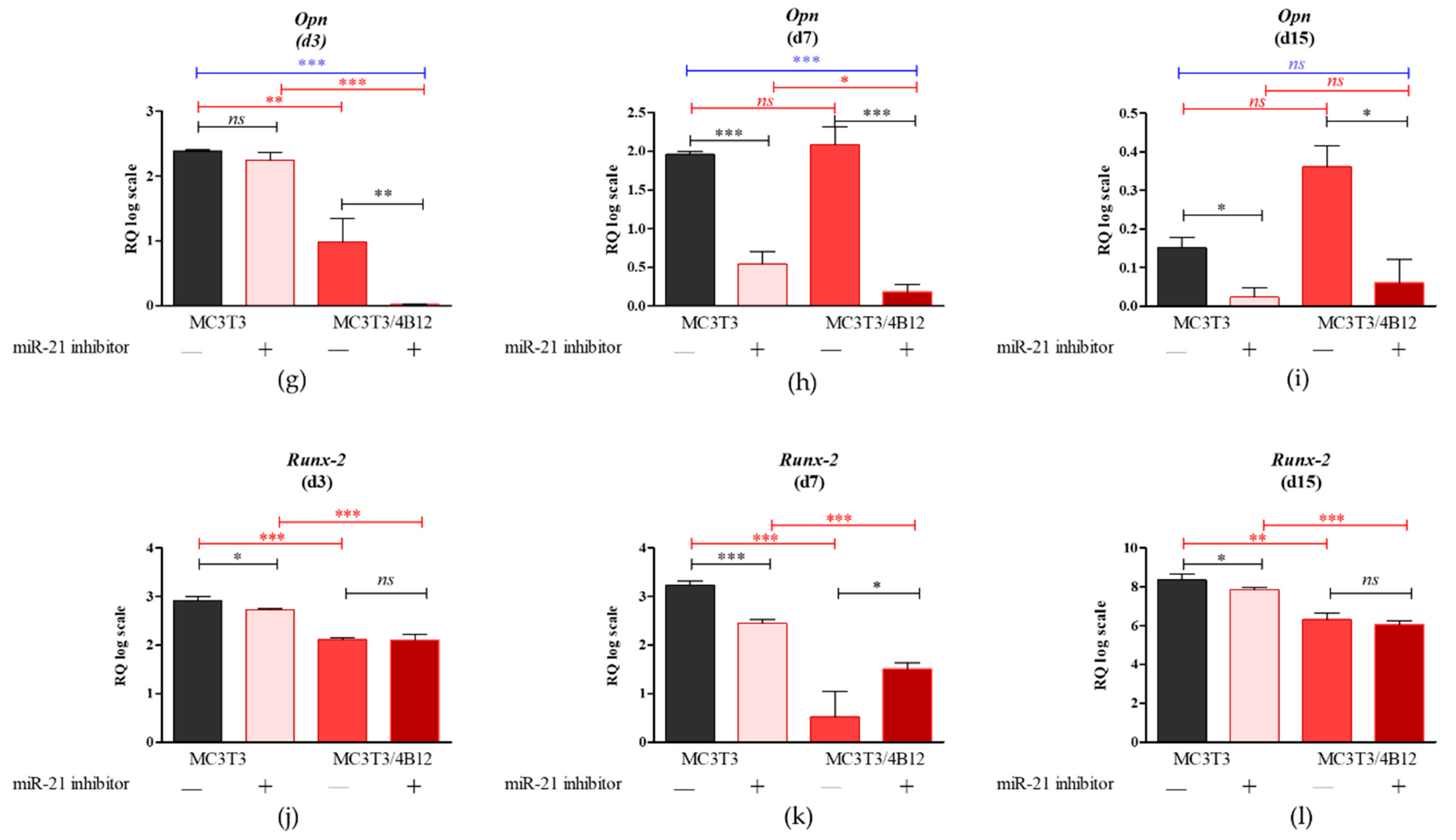Cells 09 00479 g001b