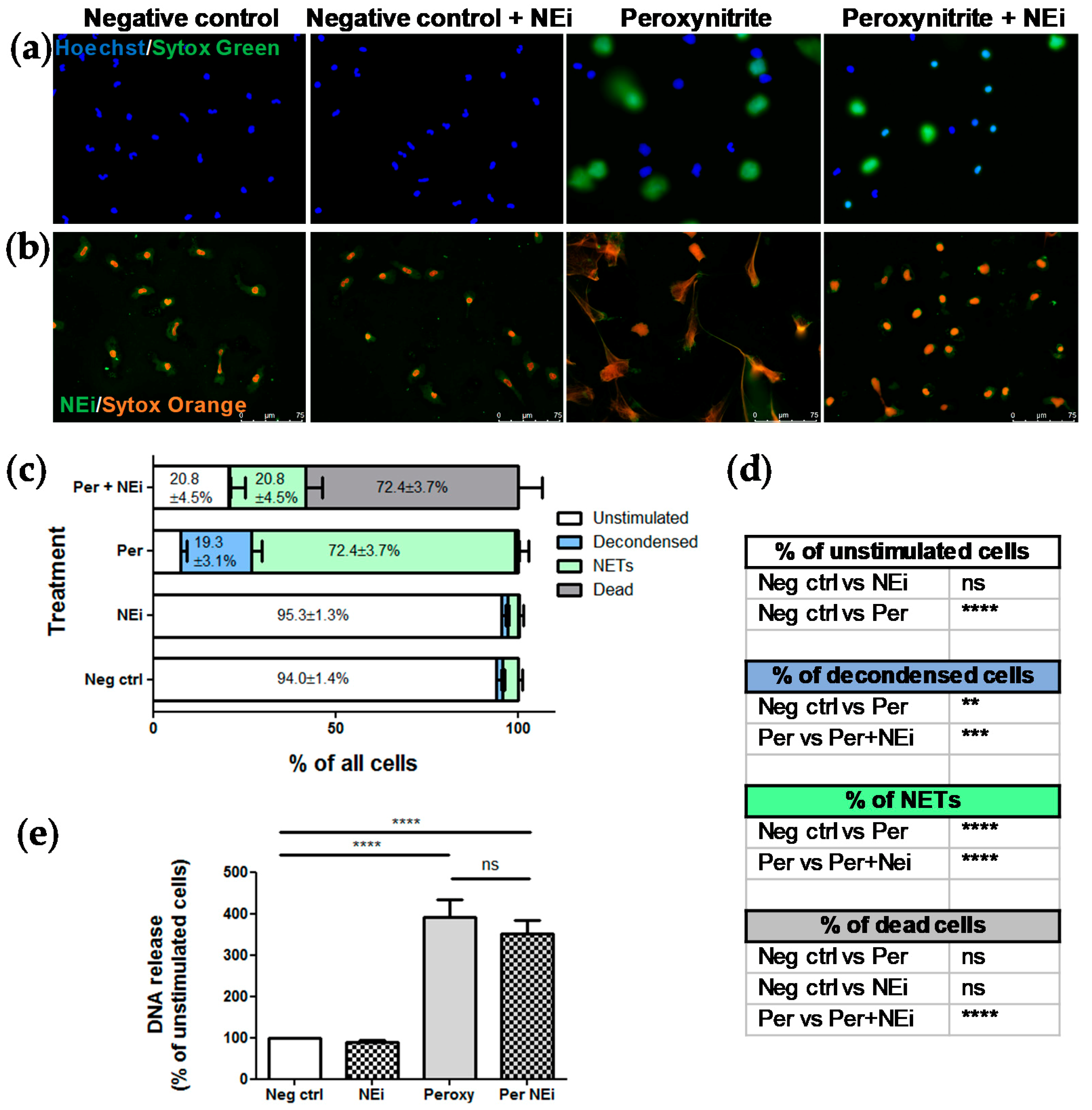 Cells 09 00508 g003