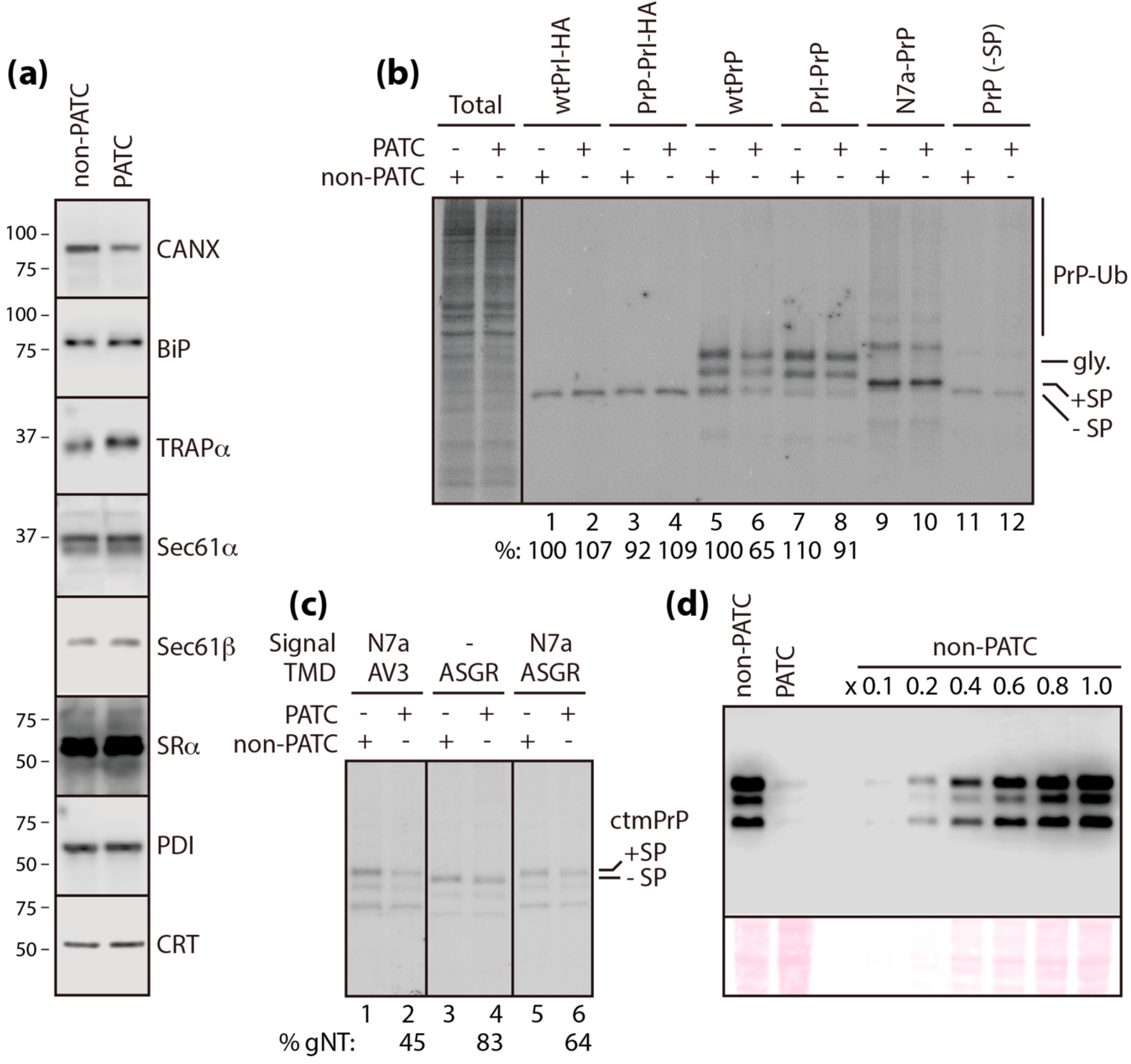 Cells 09 00518 g004 Cells 09 00518 g004