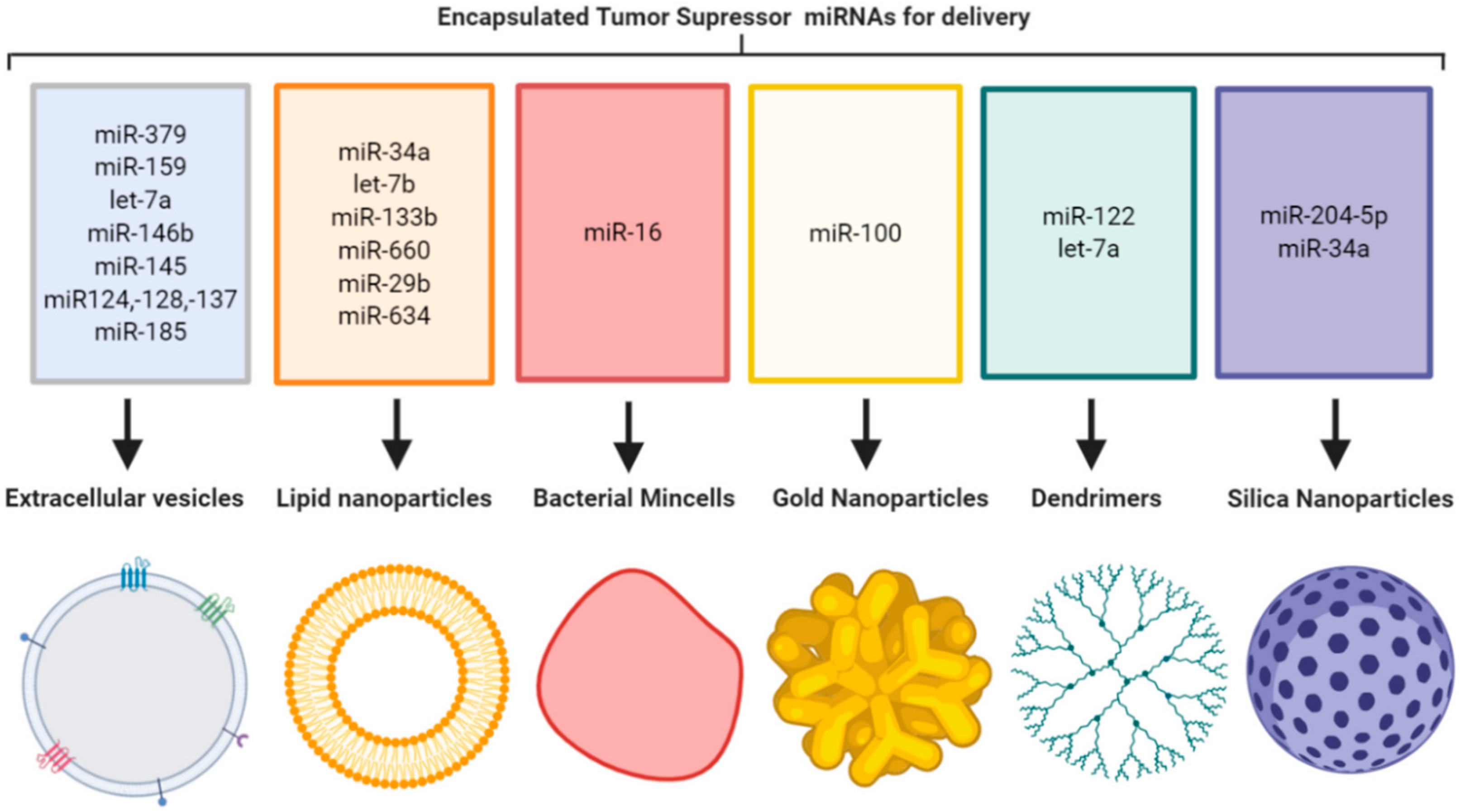 Cells 09 00521 g001 Cells 09 00521 g001
