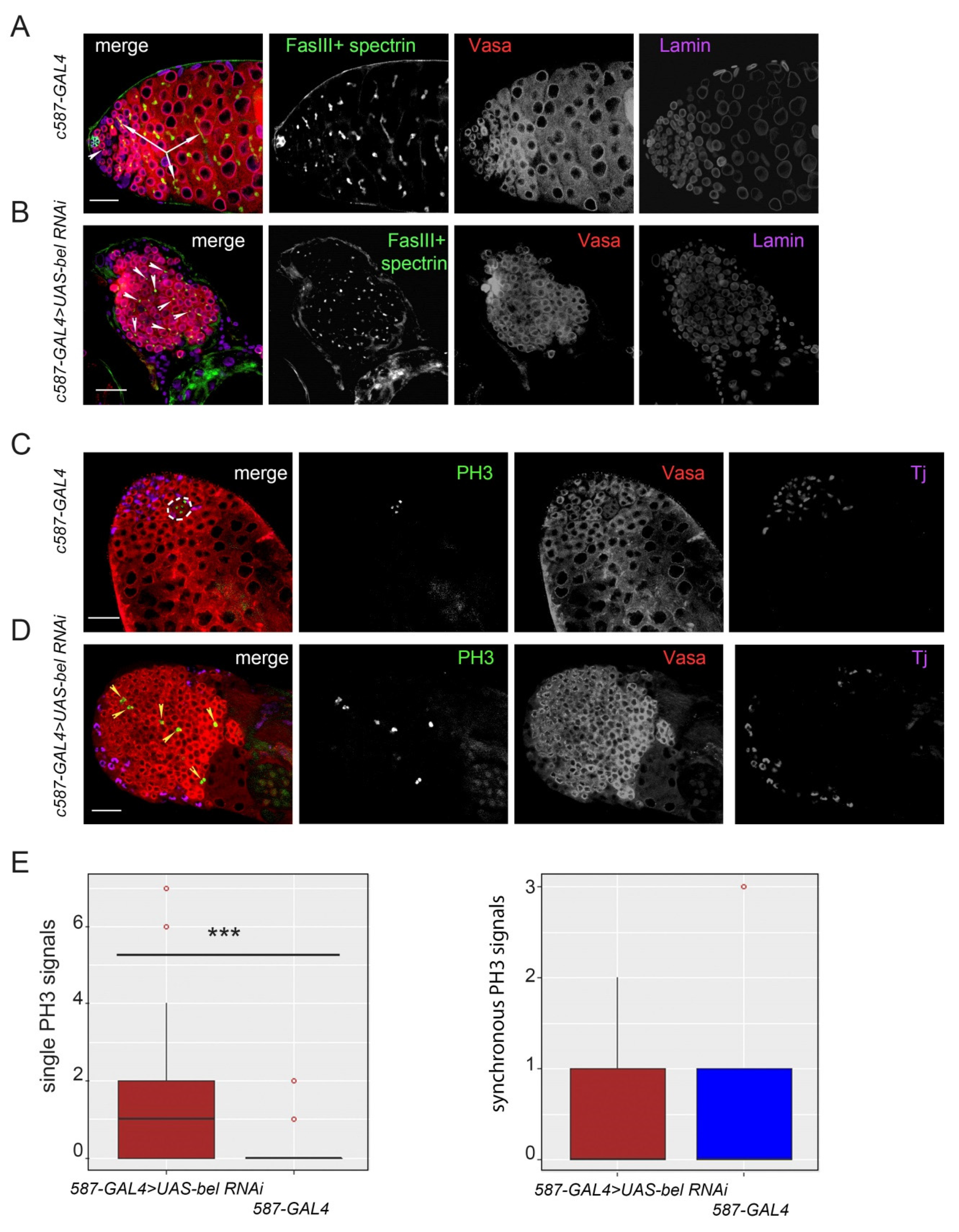 Cells 09 00550 g002 Cells 09 00550 g002