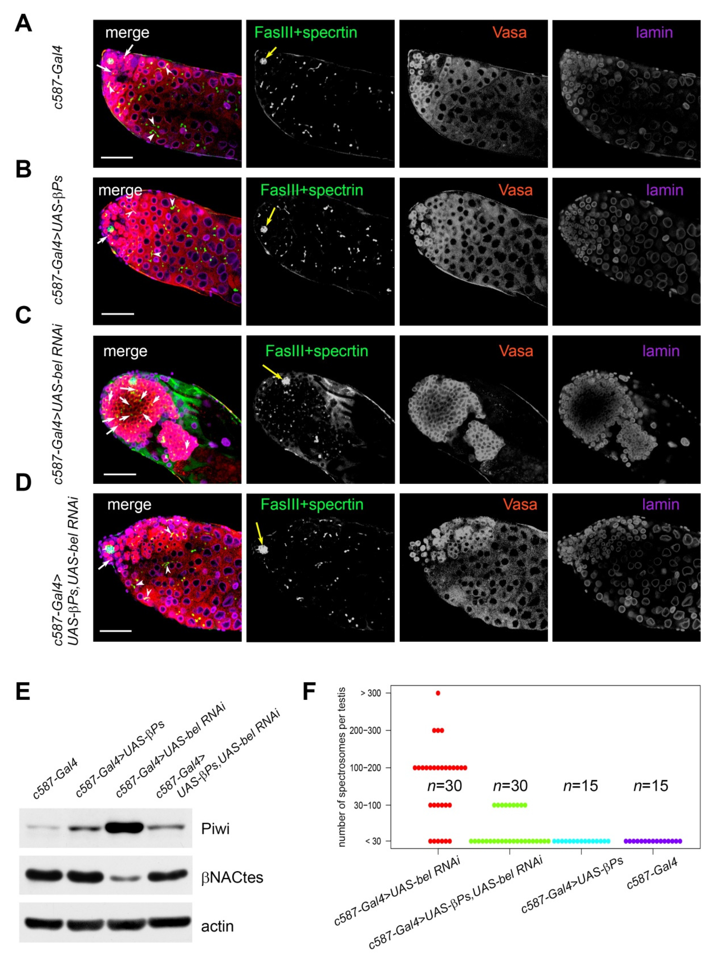 Cells 09 00550 g003 Cells 09 00550 g003