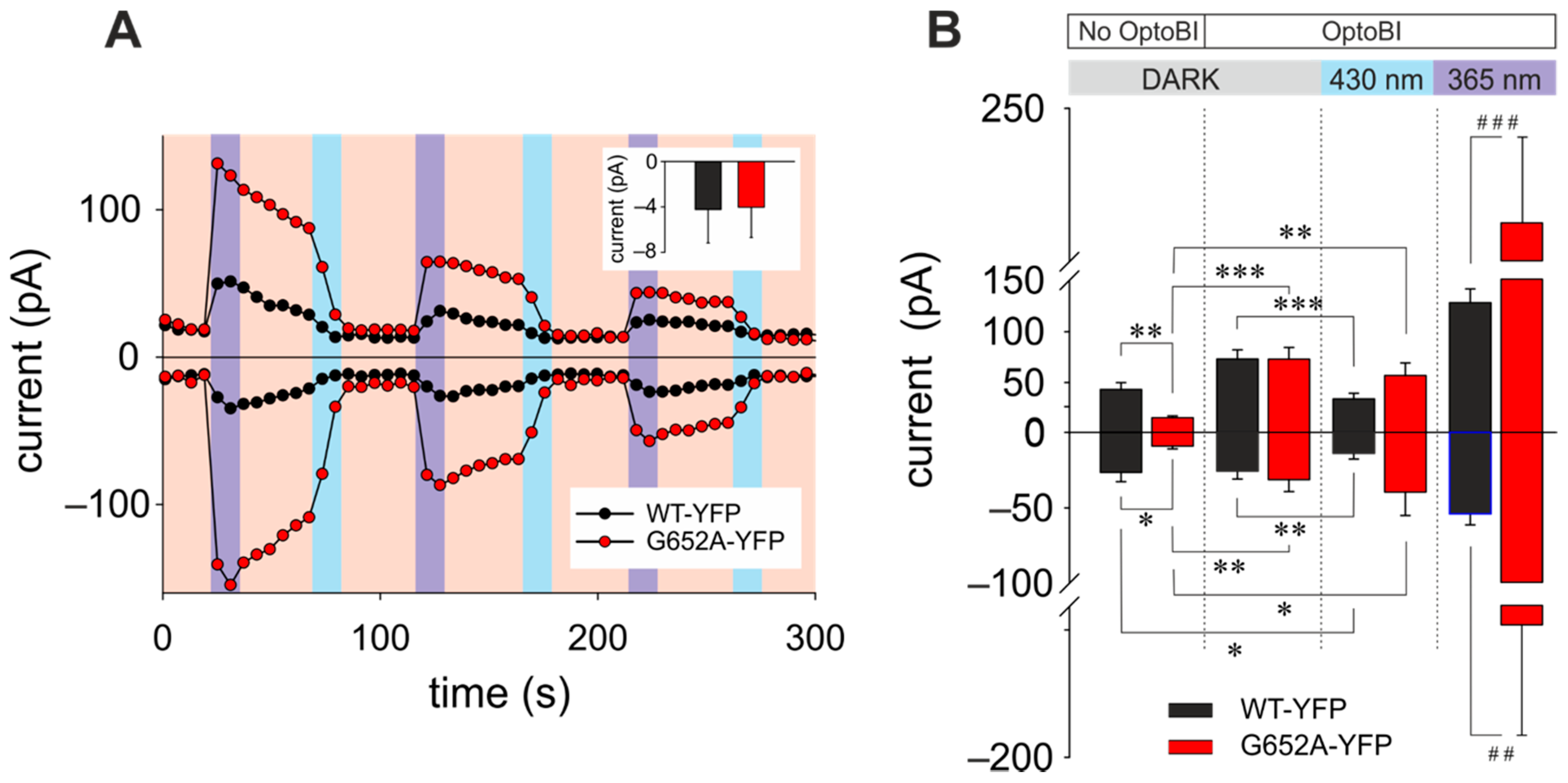 Cells 09 00556 g001 Cells 09 00556 g001