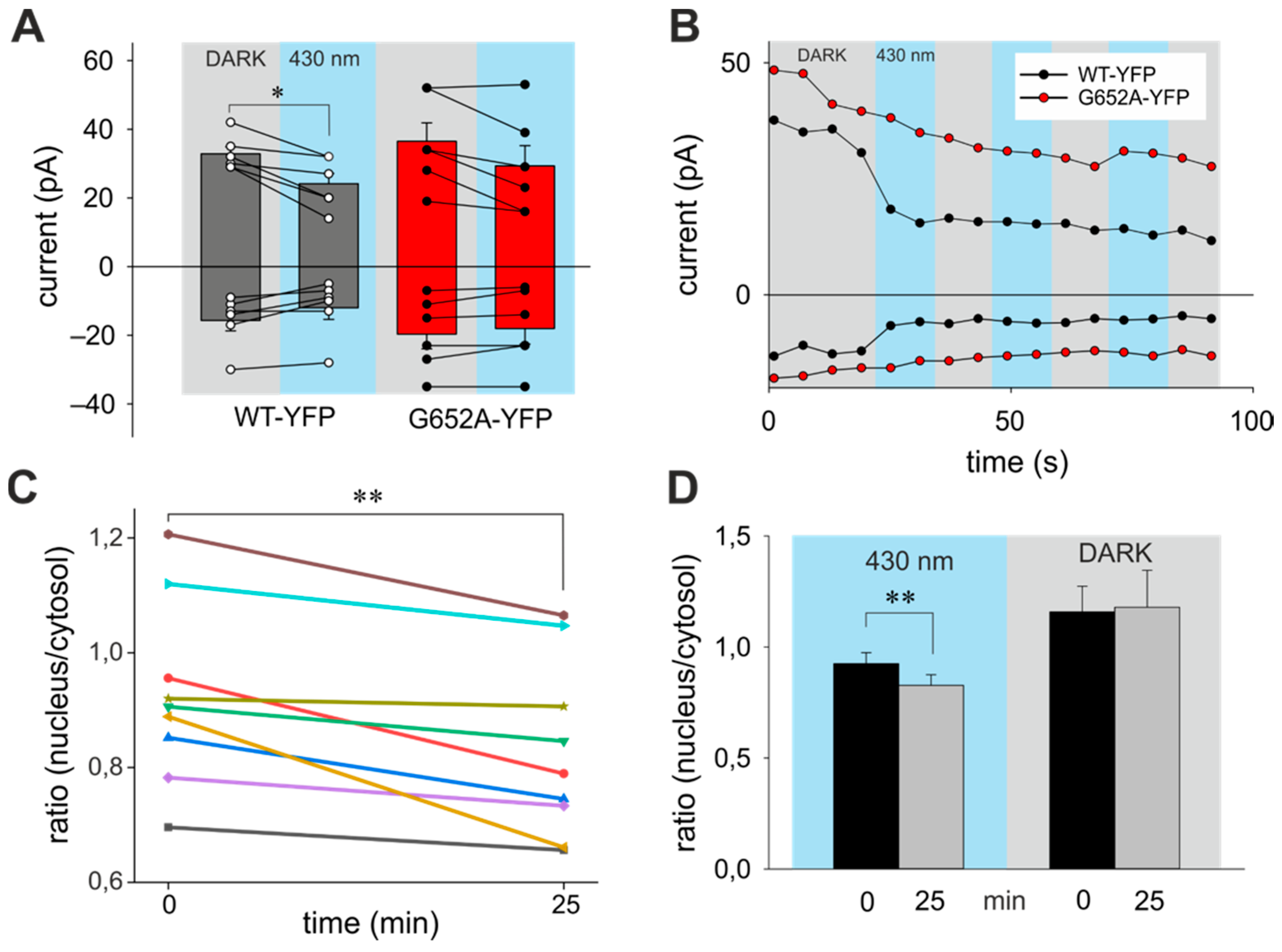 Cells 09 00556 g003 Cells 09 00556 g003