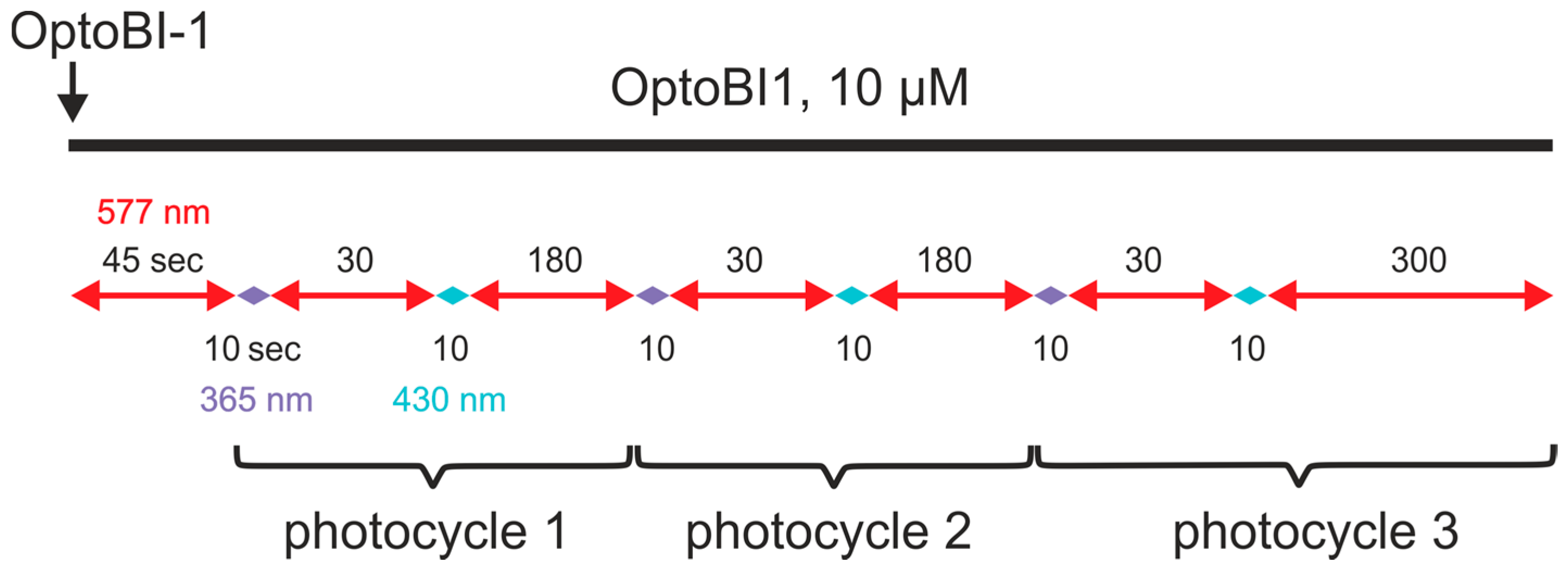 Cells 09 00556 sch001 Cells 09 00556 sch001