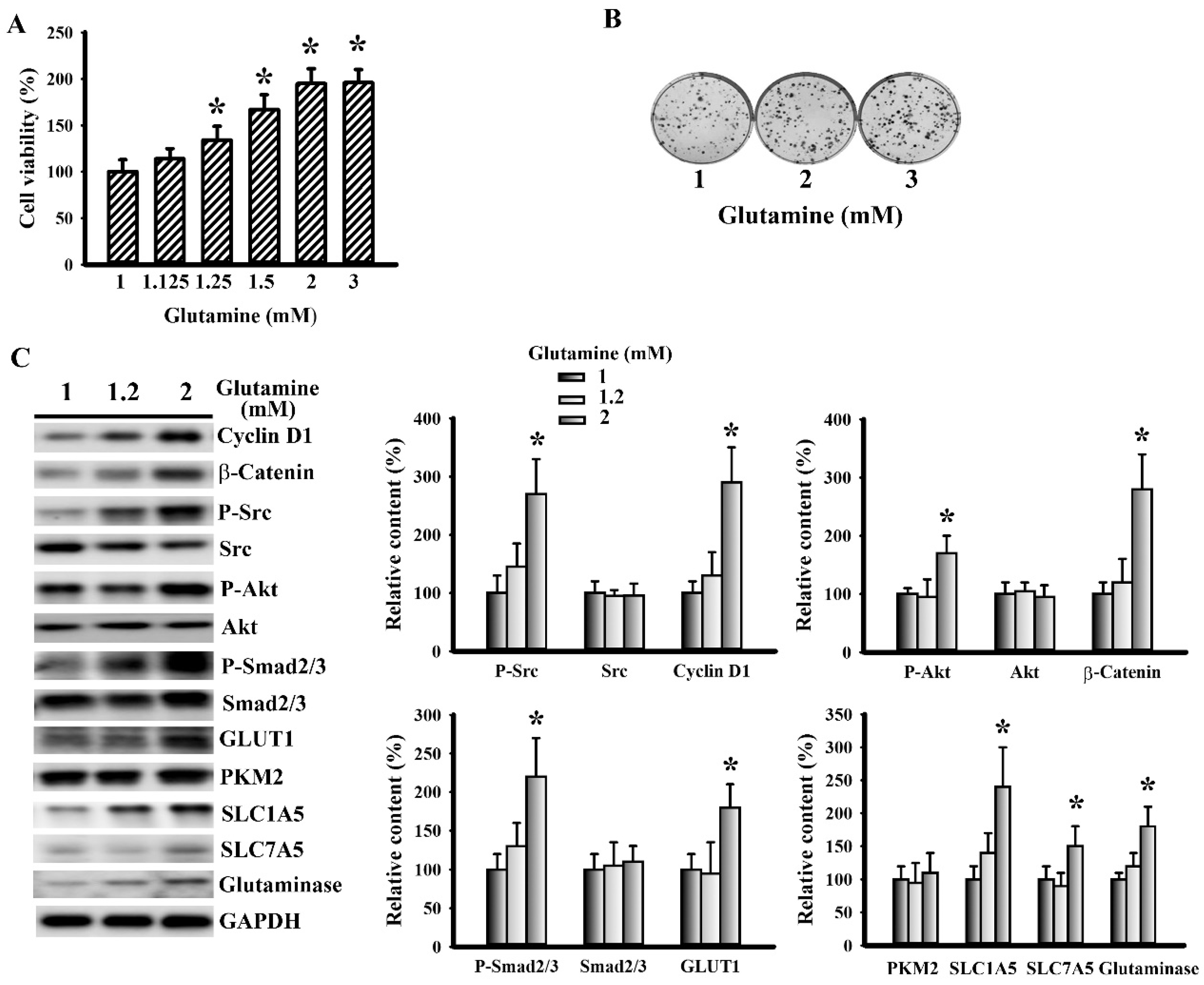 Cells 09 00569 g007 Cells 09 00569 g007