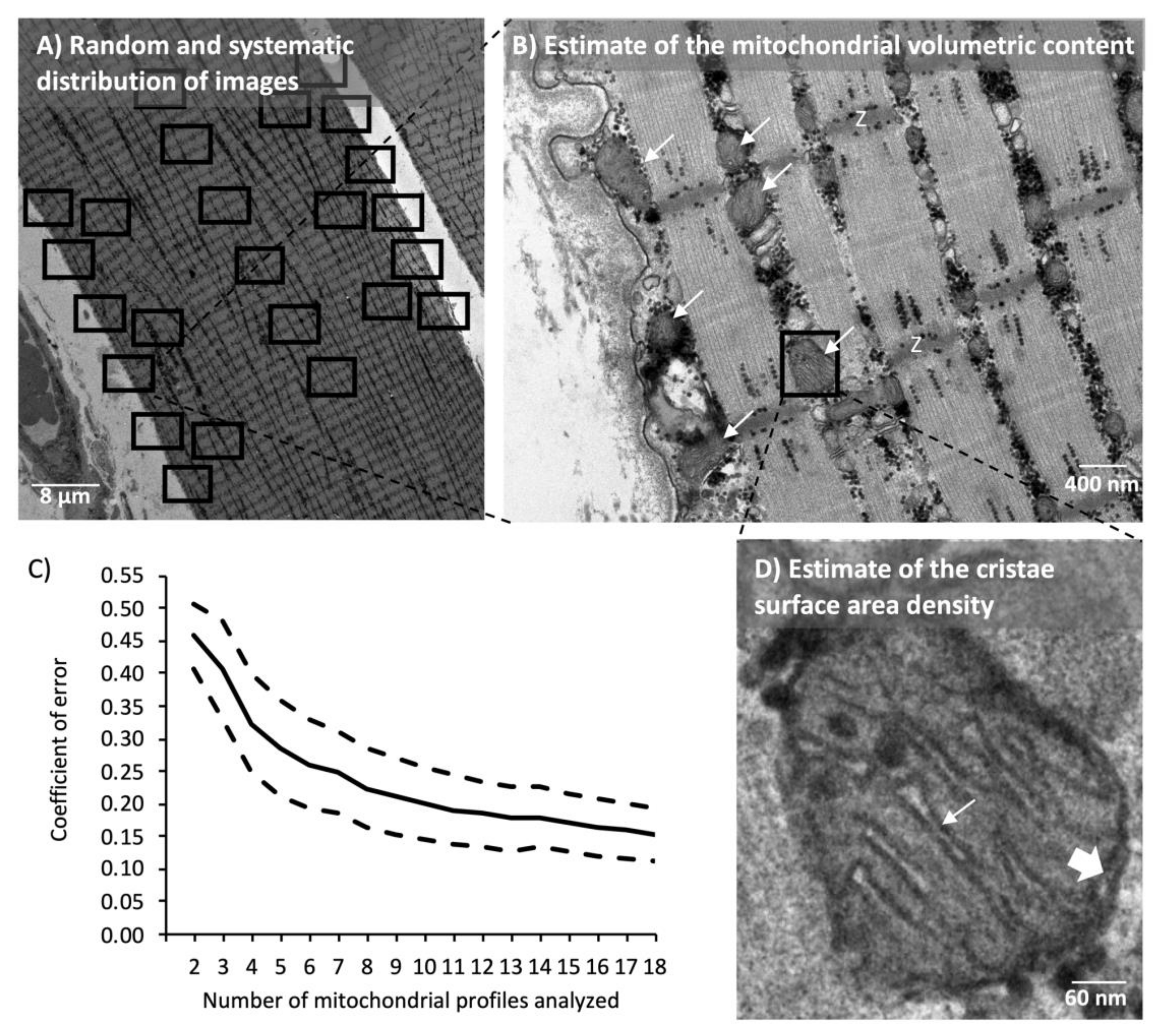 Cells 09 00570 g002 Cells 09 00570 g002