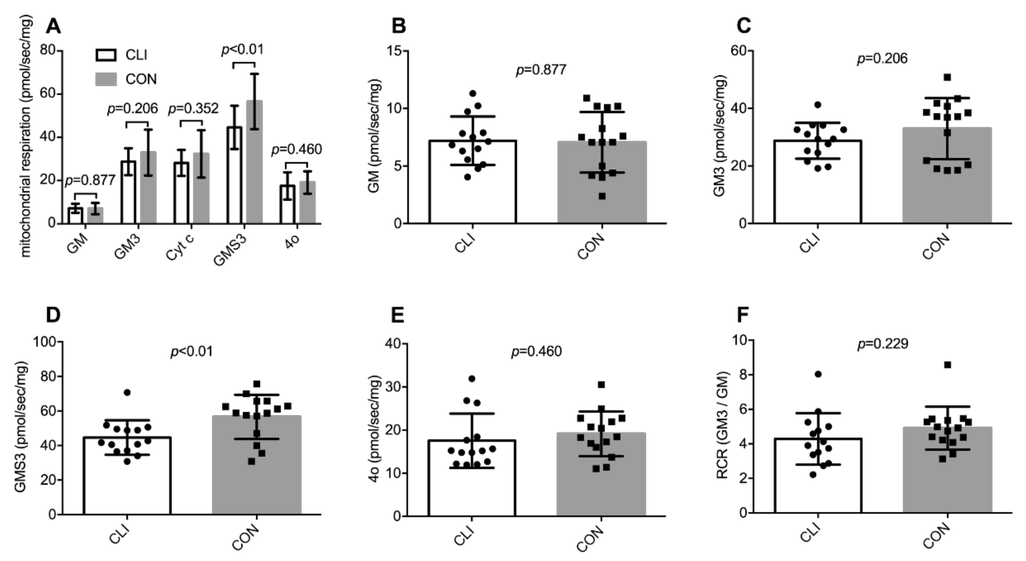 Cells 09 00570 g003 Cells 09 00570 g003
