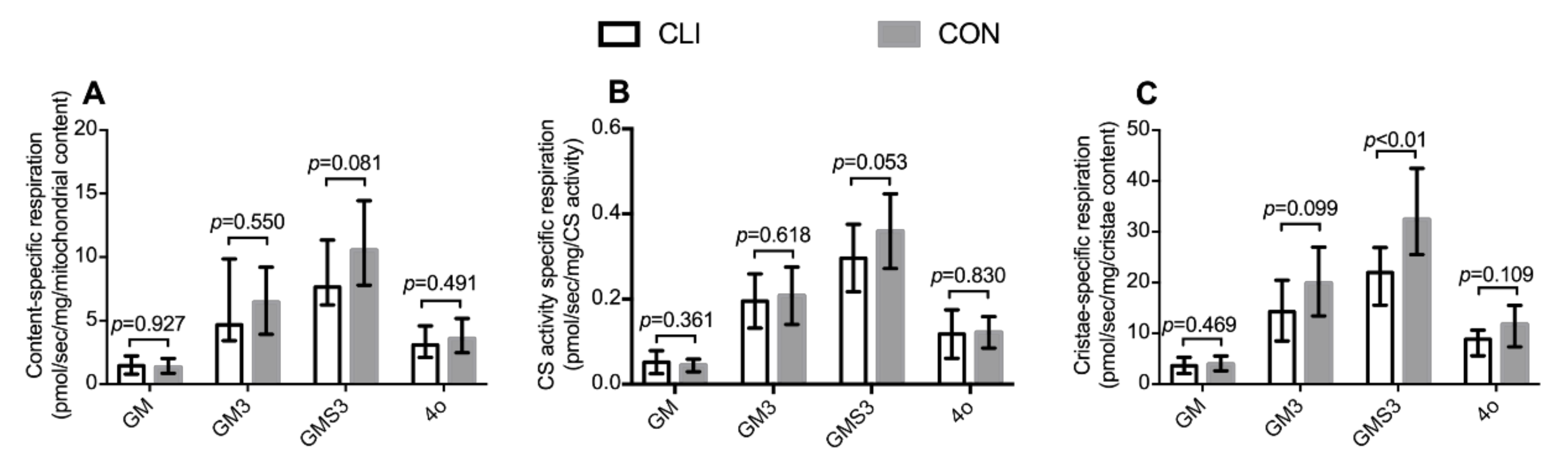 Cells 09 00570 g007 Cells 09 00570 g007