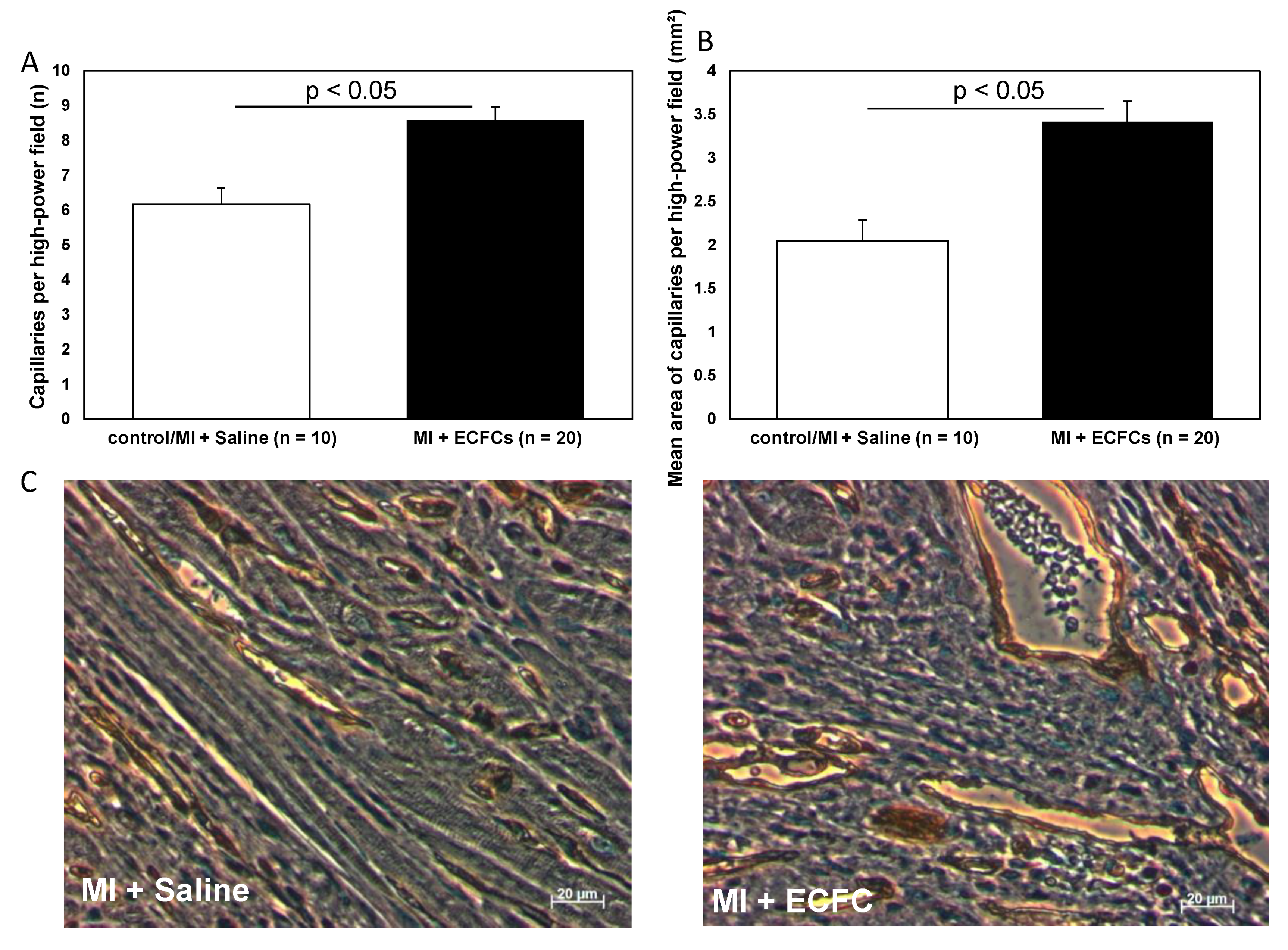 Cells 09 00588 g003 Cells 09 00588 g003