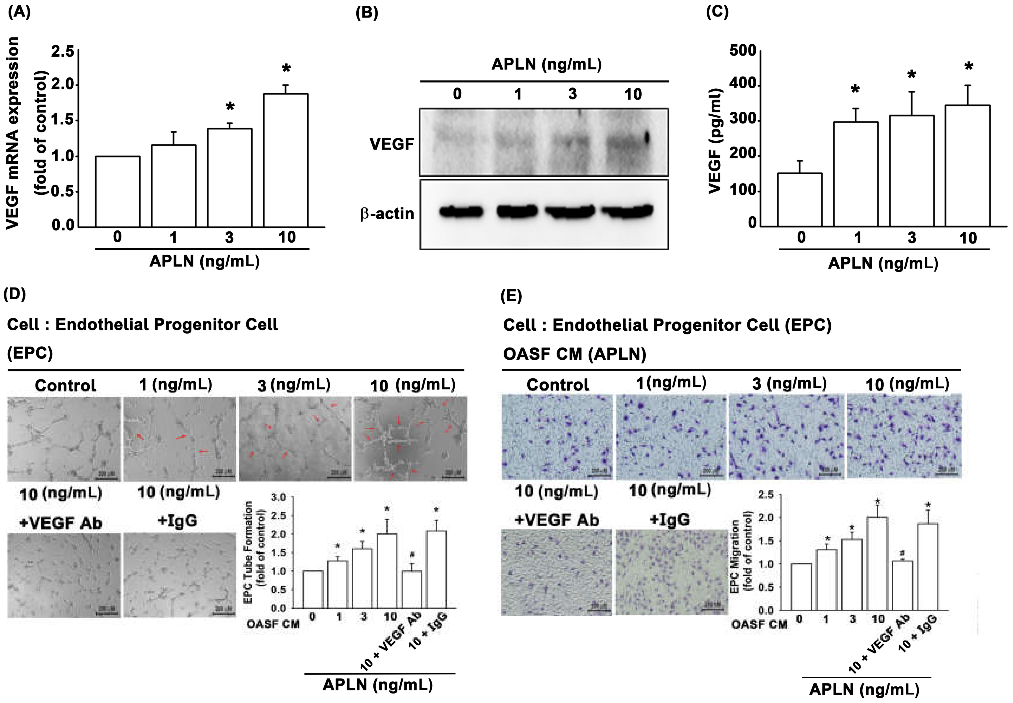 Cells 09 00594 g002 Cells 09 00594 g002