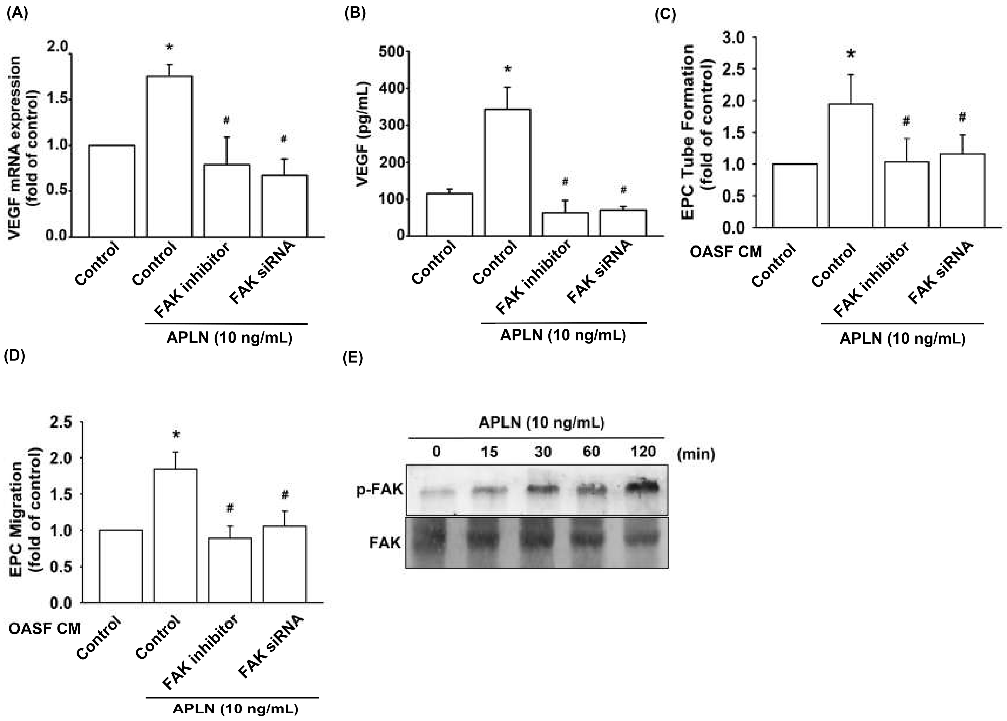 Cells 09 00594 g003 Cells 09 00594 g003