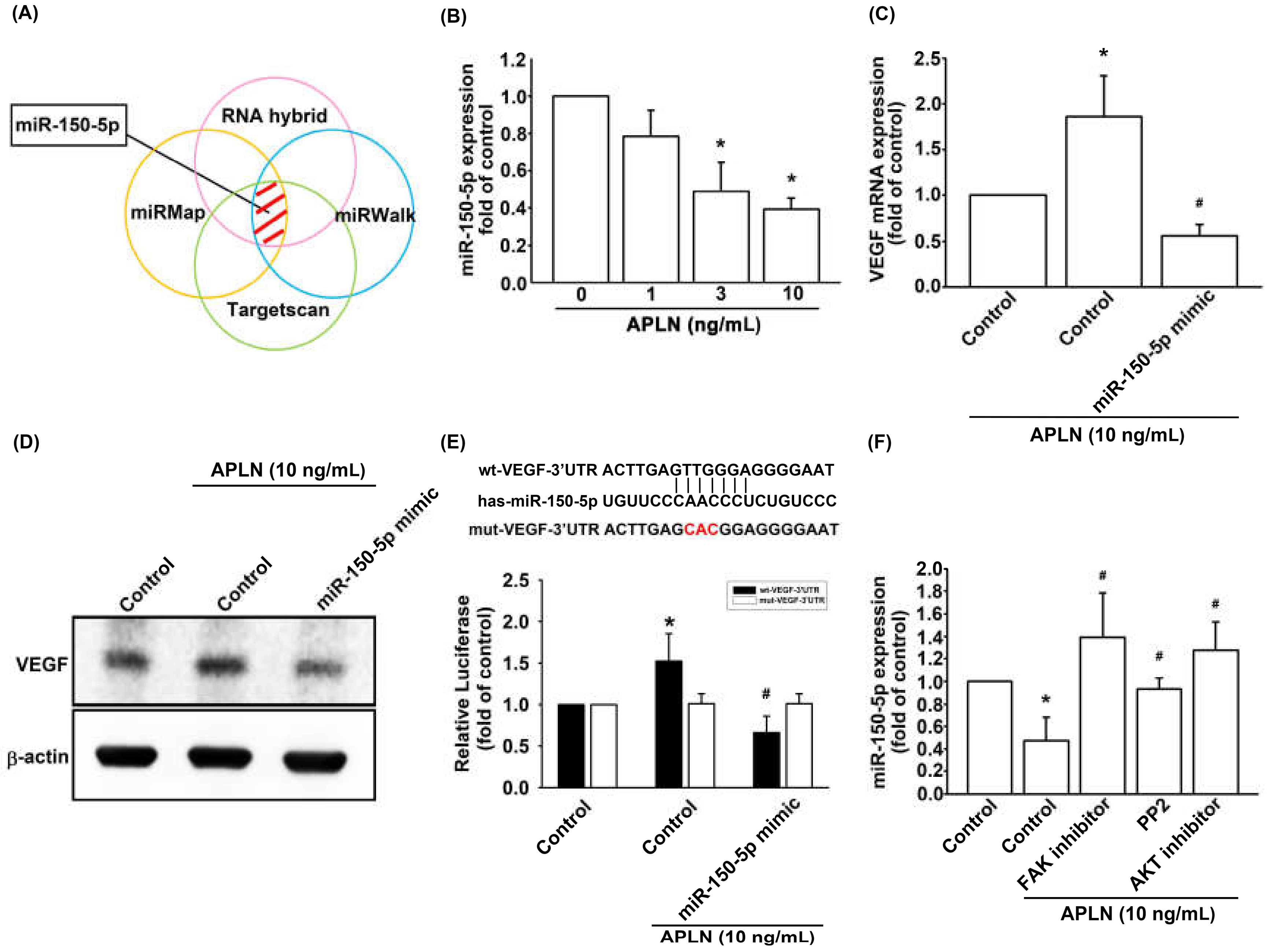 Cells 09 00594 g005 Cells 09 00594 g005