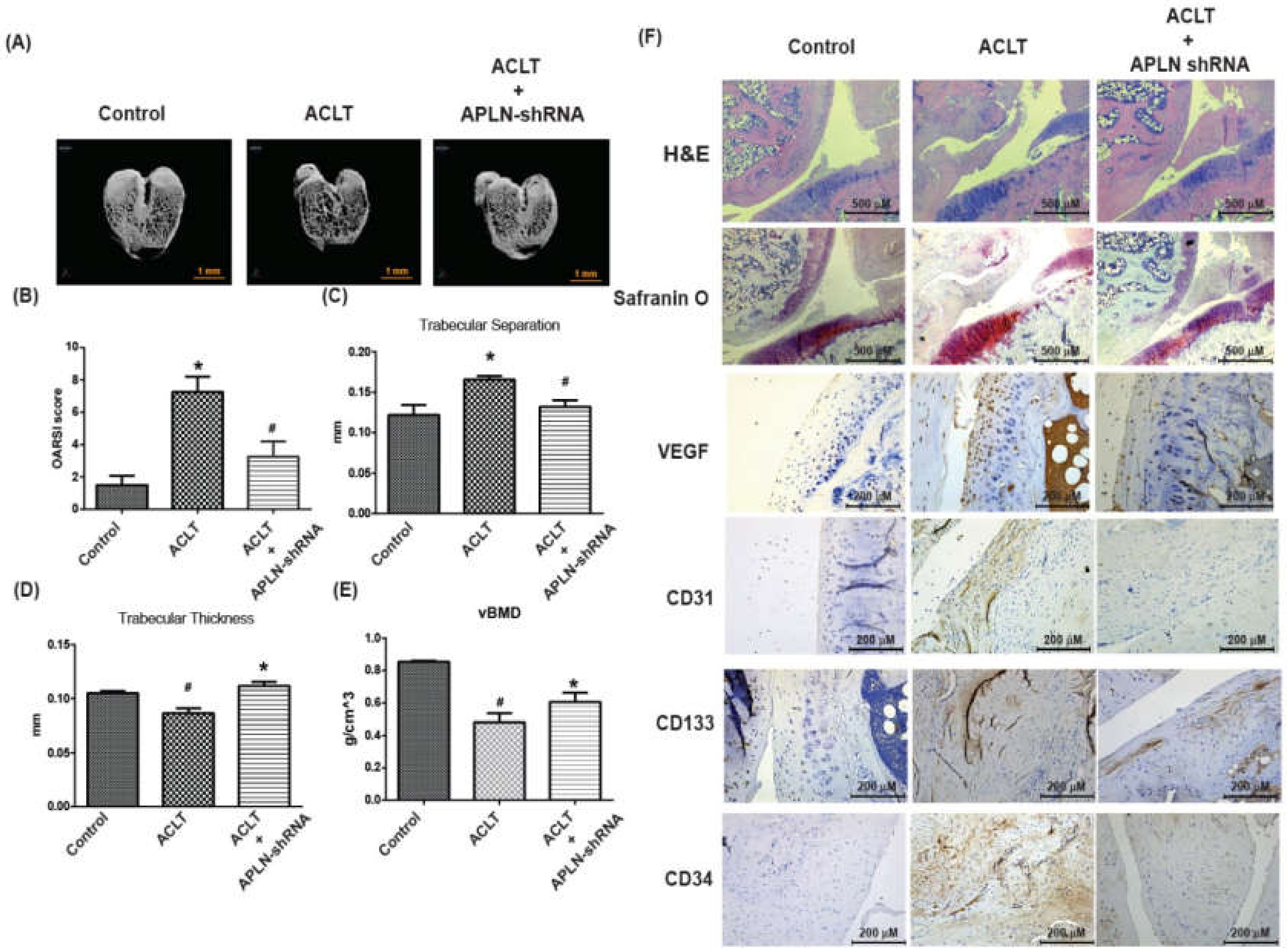 Cells 09 00594 g007 Cells 09 00594 g007