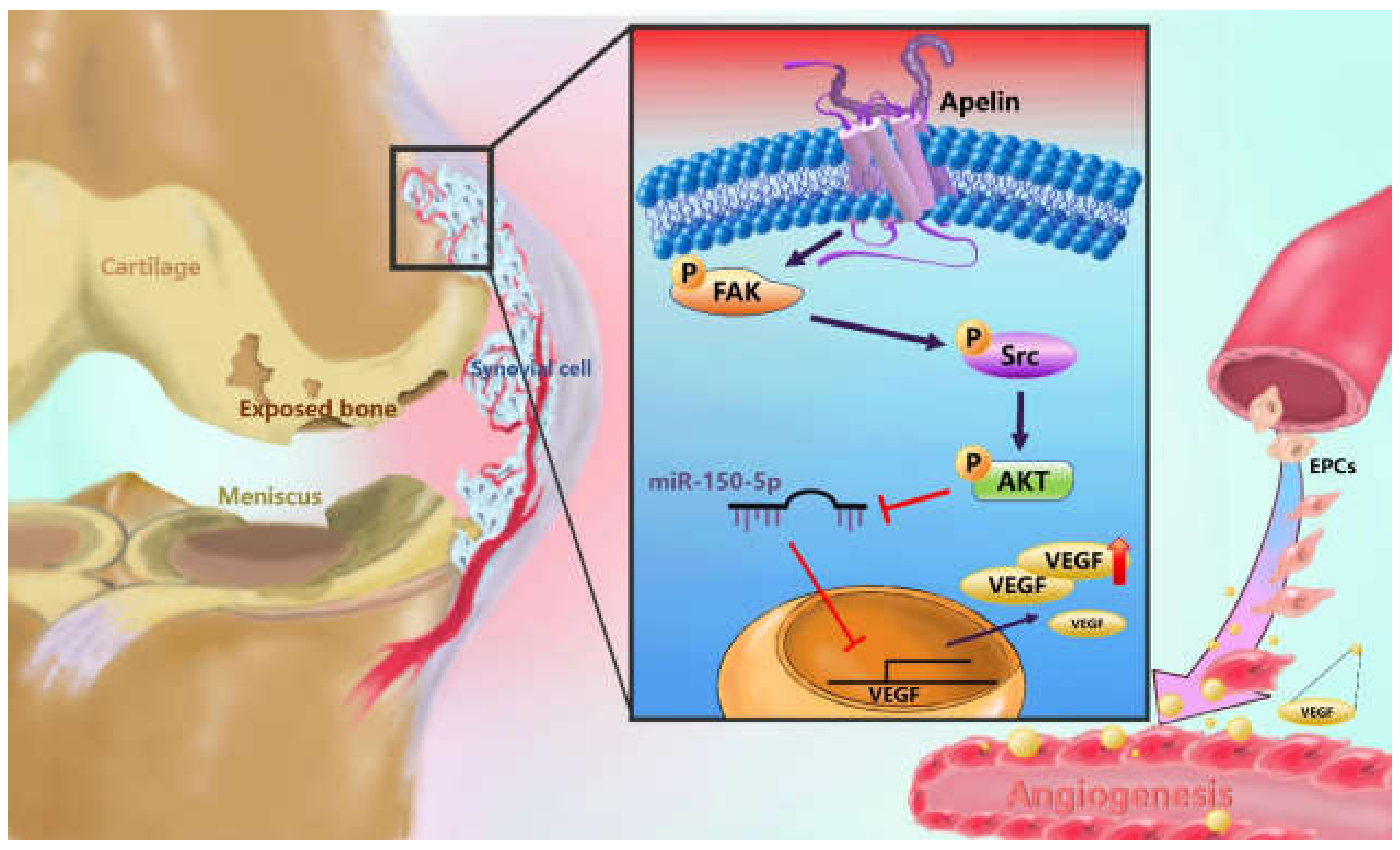 Cells 09 00594 g008 Cells 09 00594 g008