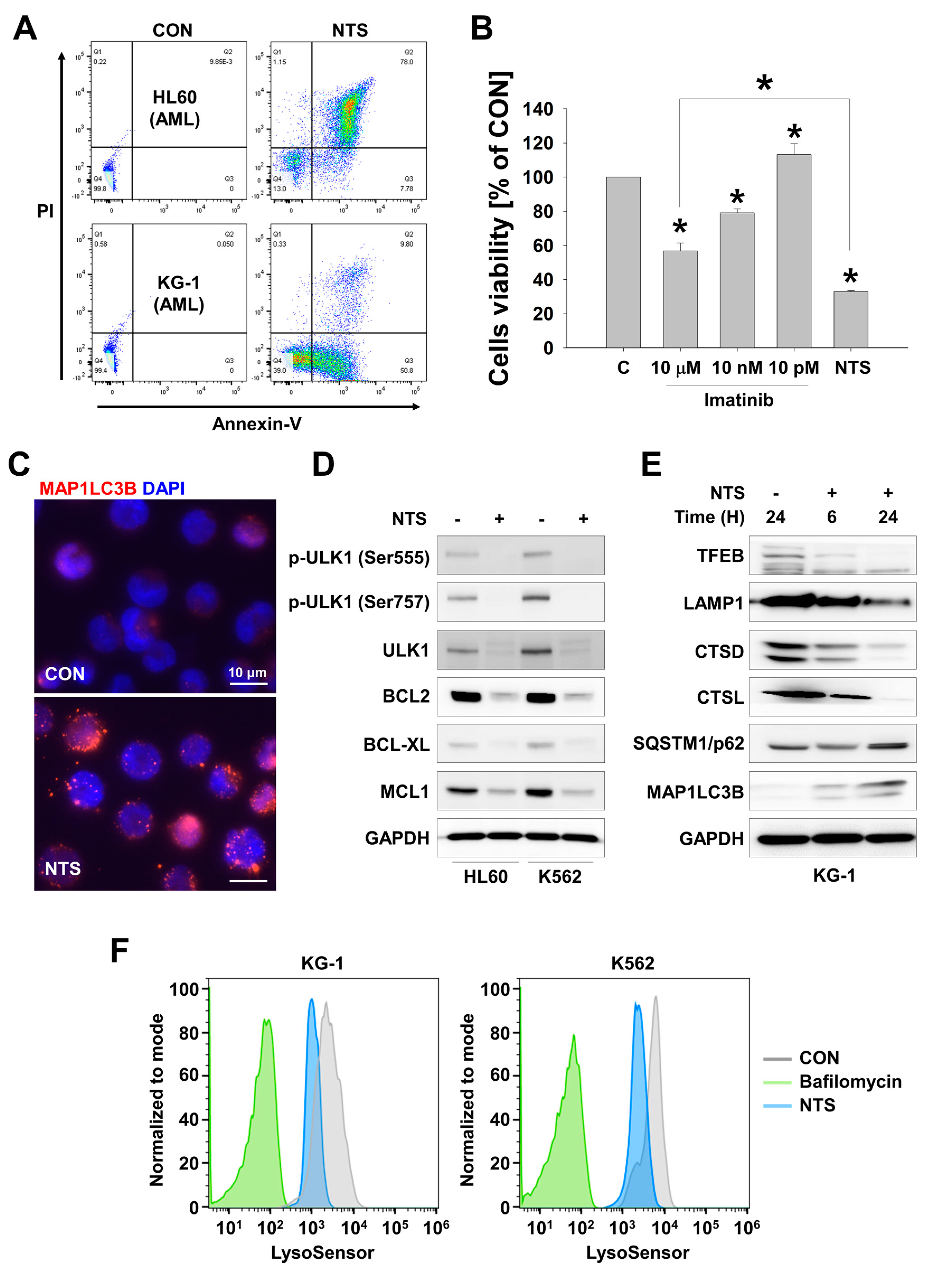 Cells 09 00595 g001 Cells 09 00595 g001