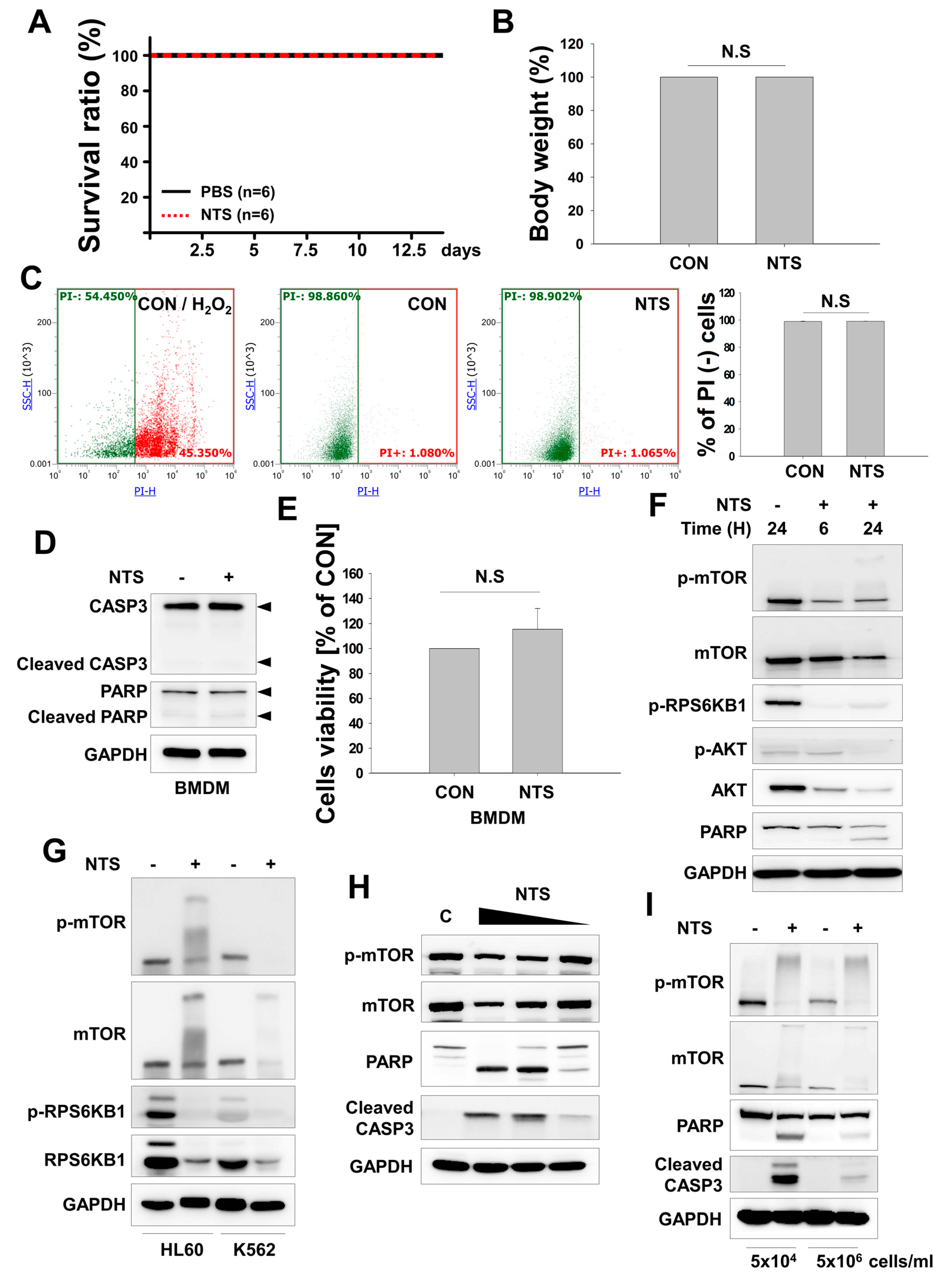 Cells 09 00595 g002 Cells 09 00595 g002