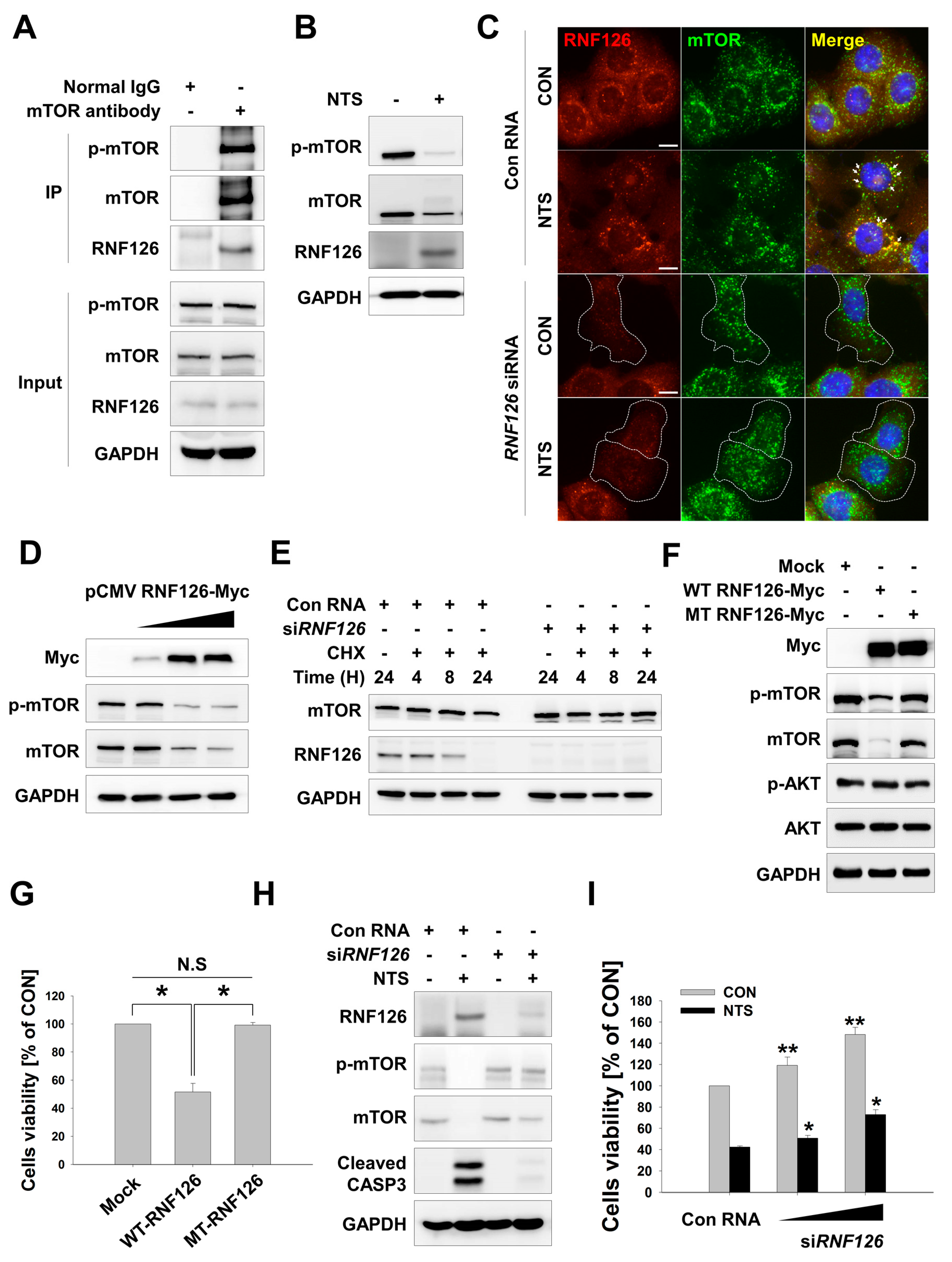 Cells 09 00595 g003 Cells 09 00595 g003