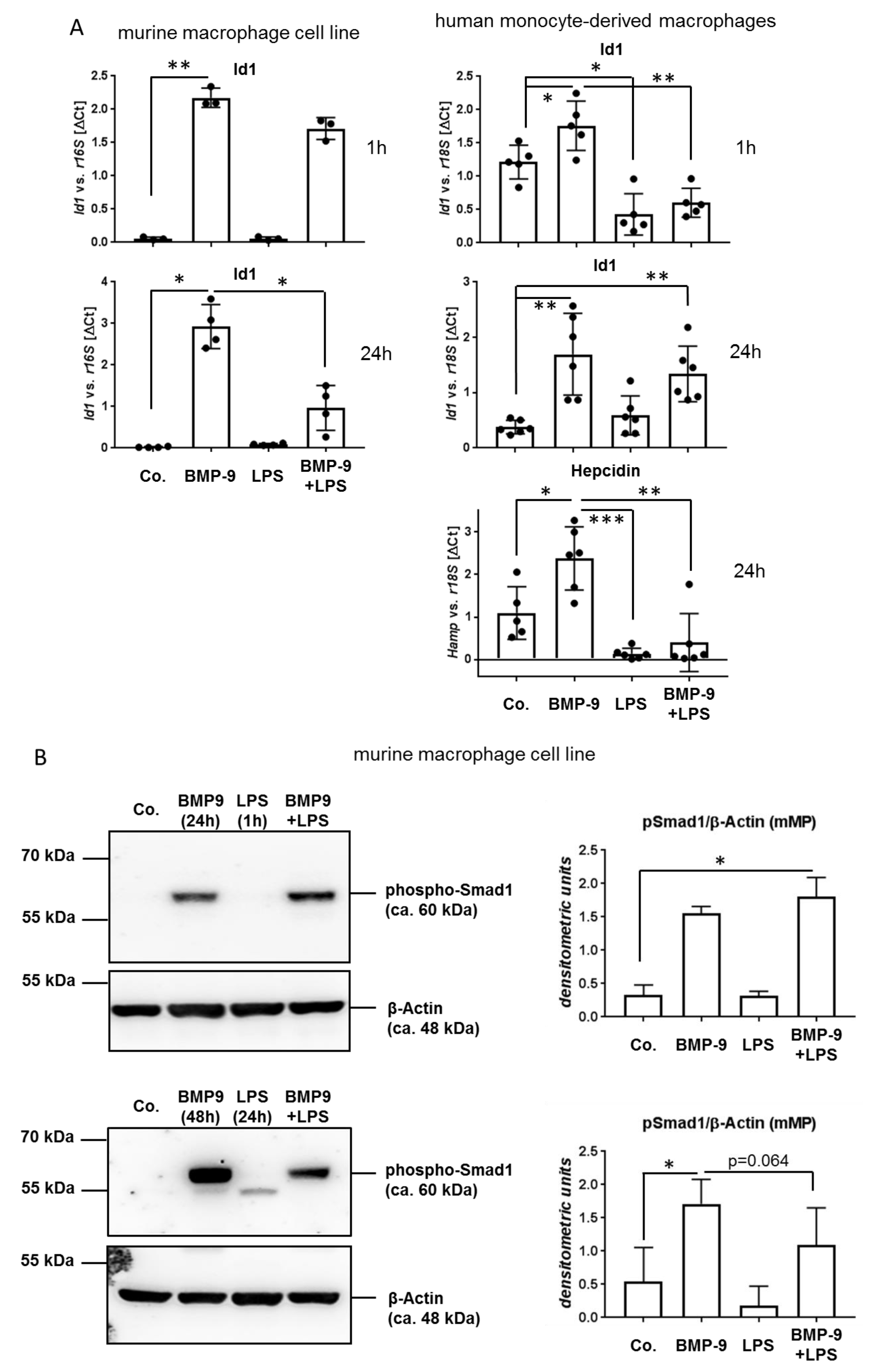 Cells 09 00617 g005a