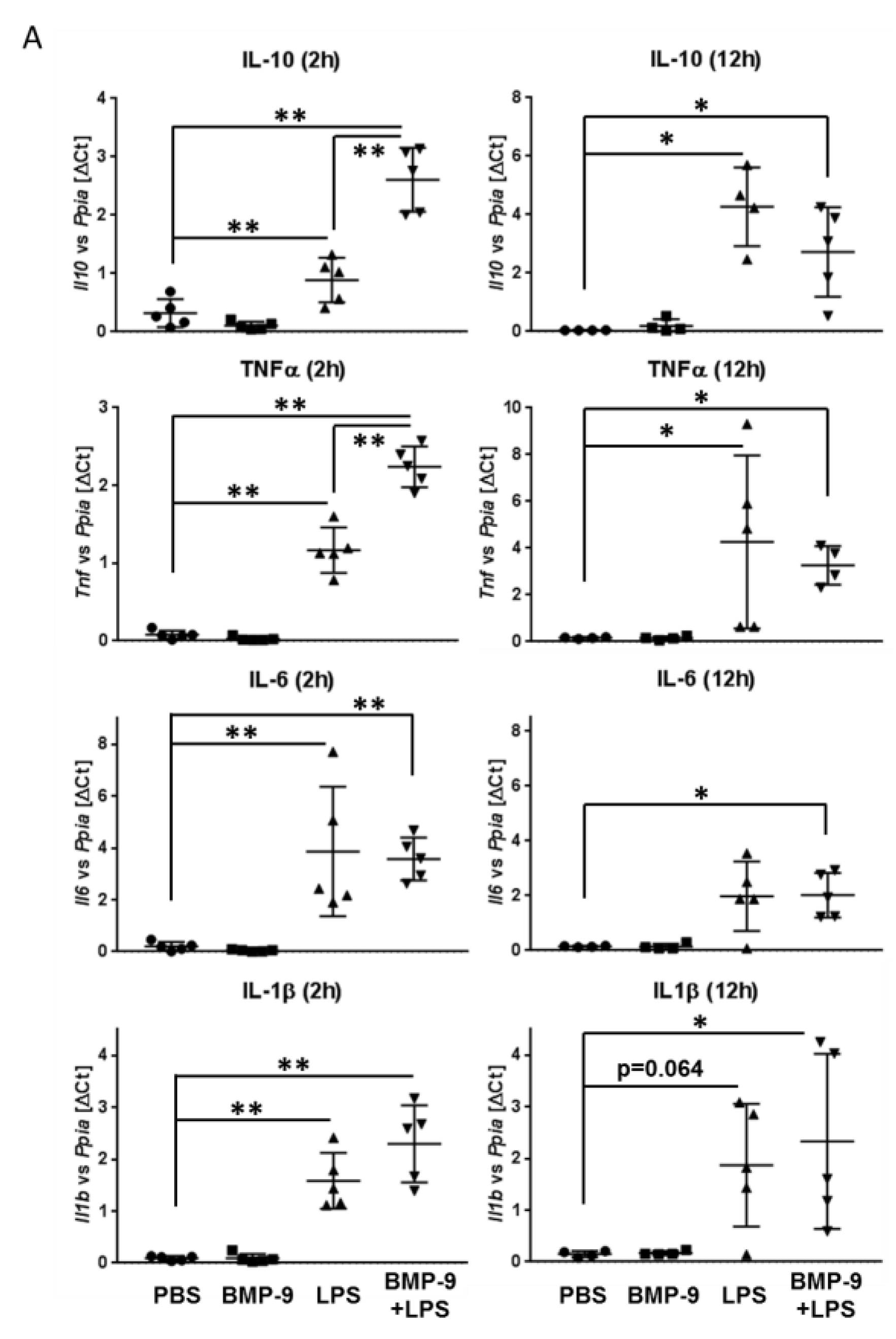 Cells 09 00617 g006a
