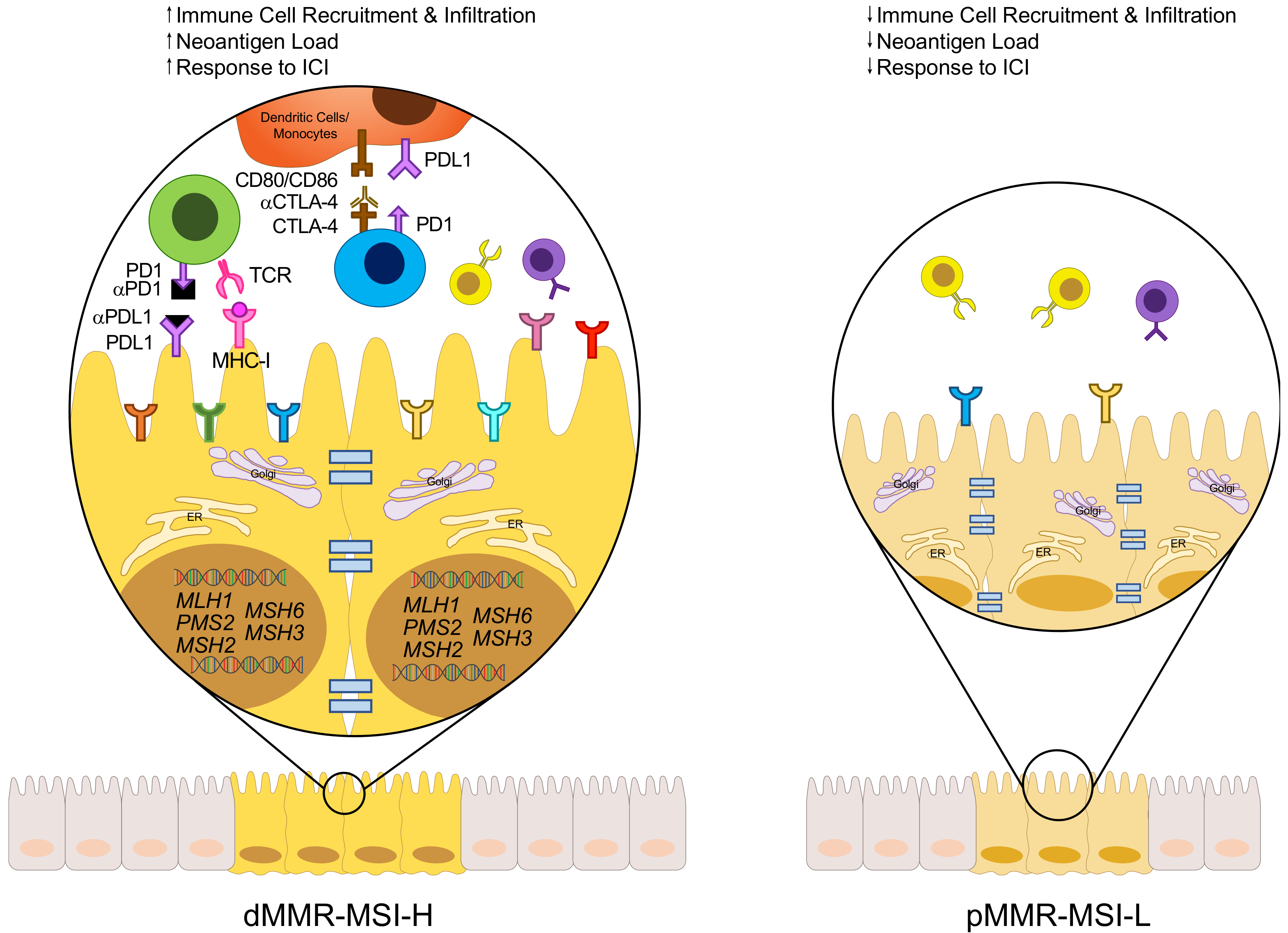 Cells 09 00618 g002 Cells 09 00618 g002