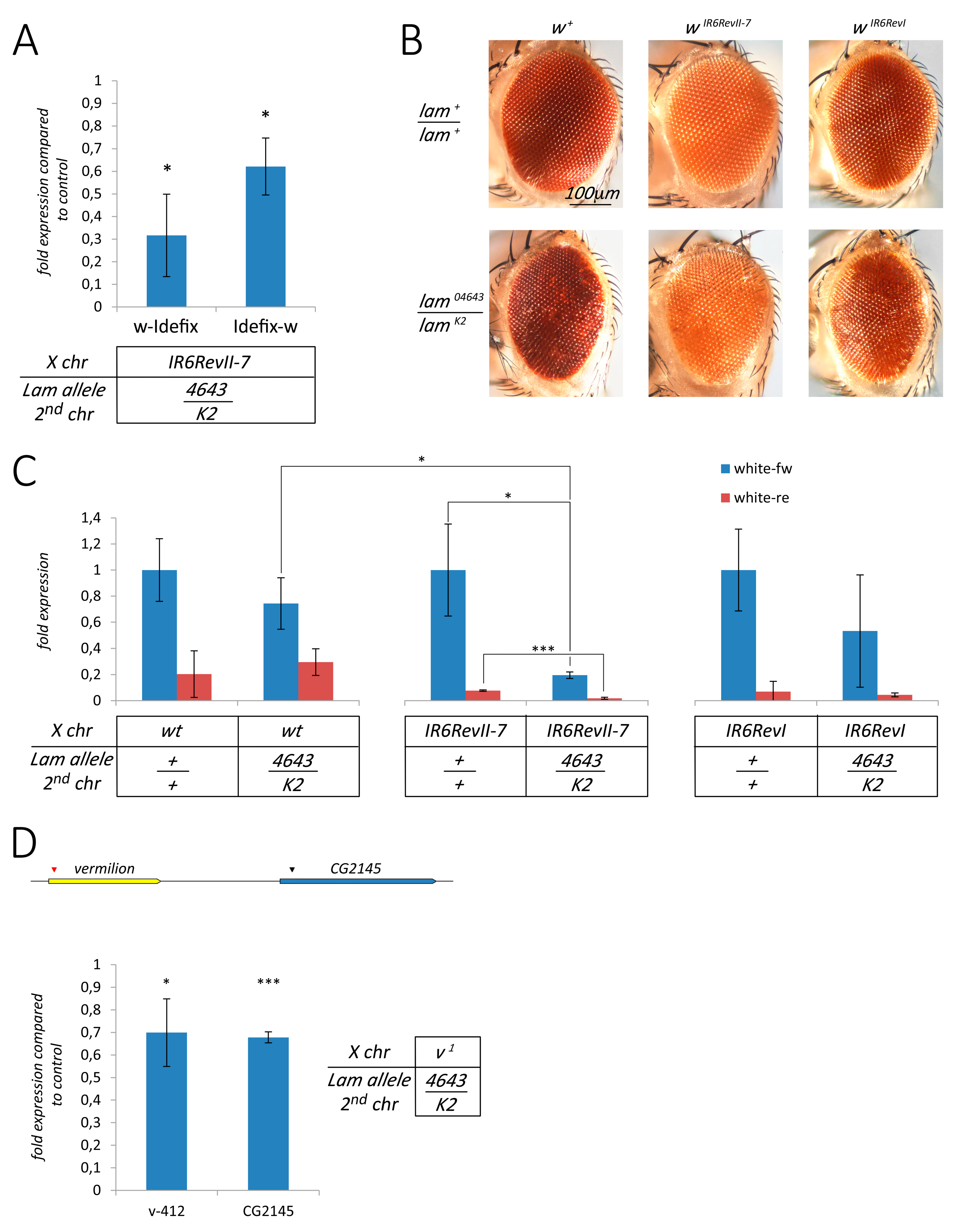 Cells 09 00625 g005 Cells 09 00625 g005
