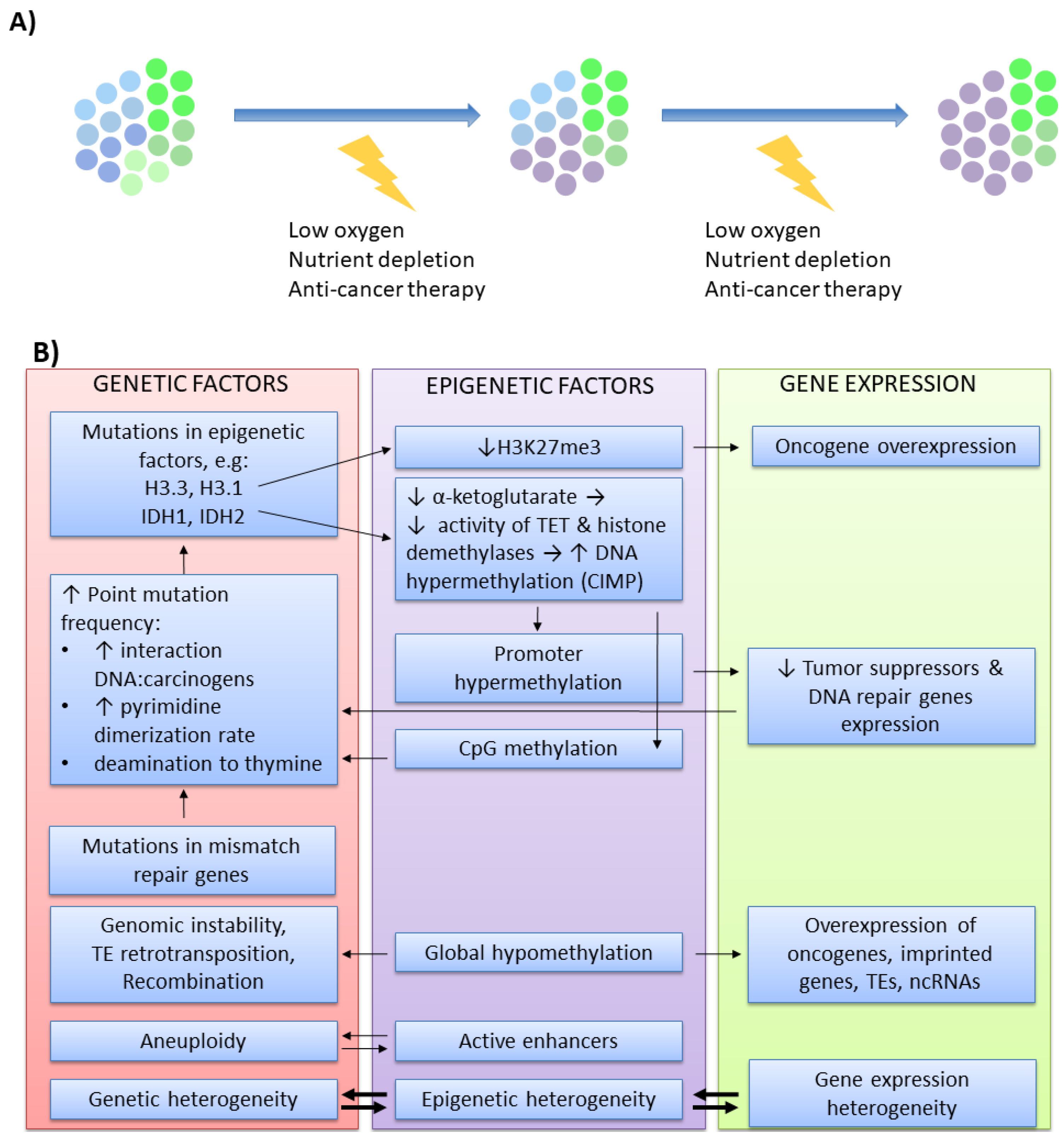 Cells 09 00653 g003 Cells 09 00653 g003