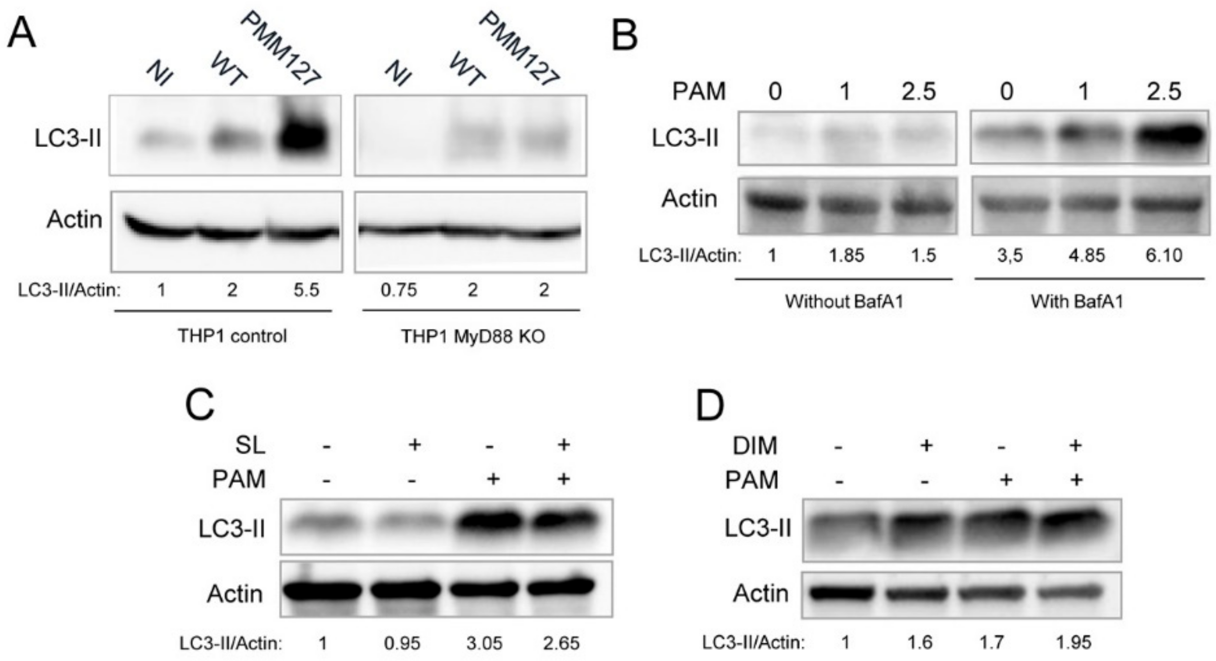 Cells 09 00666 g003