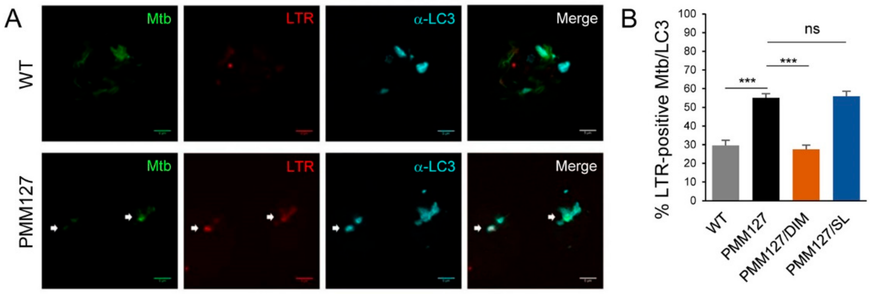 Cells 09 00666 g006