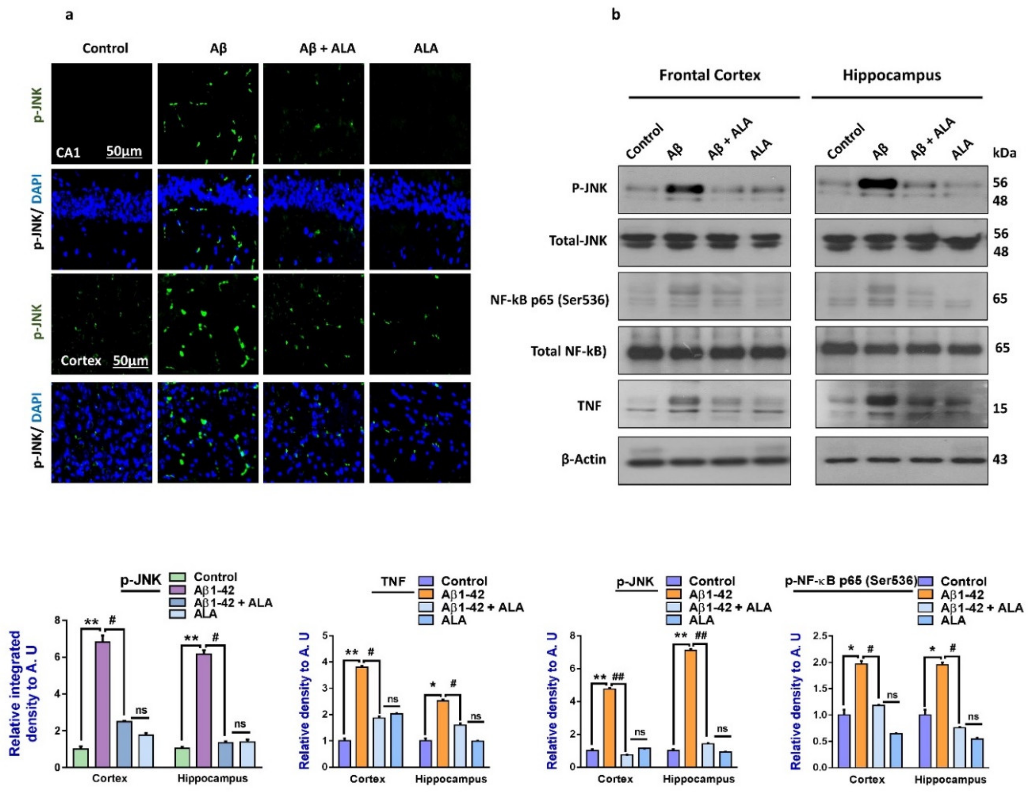 Cells 09 00667 g002 Cells 09 00667 g002