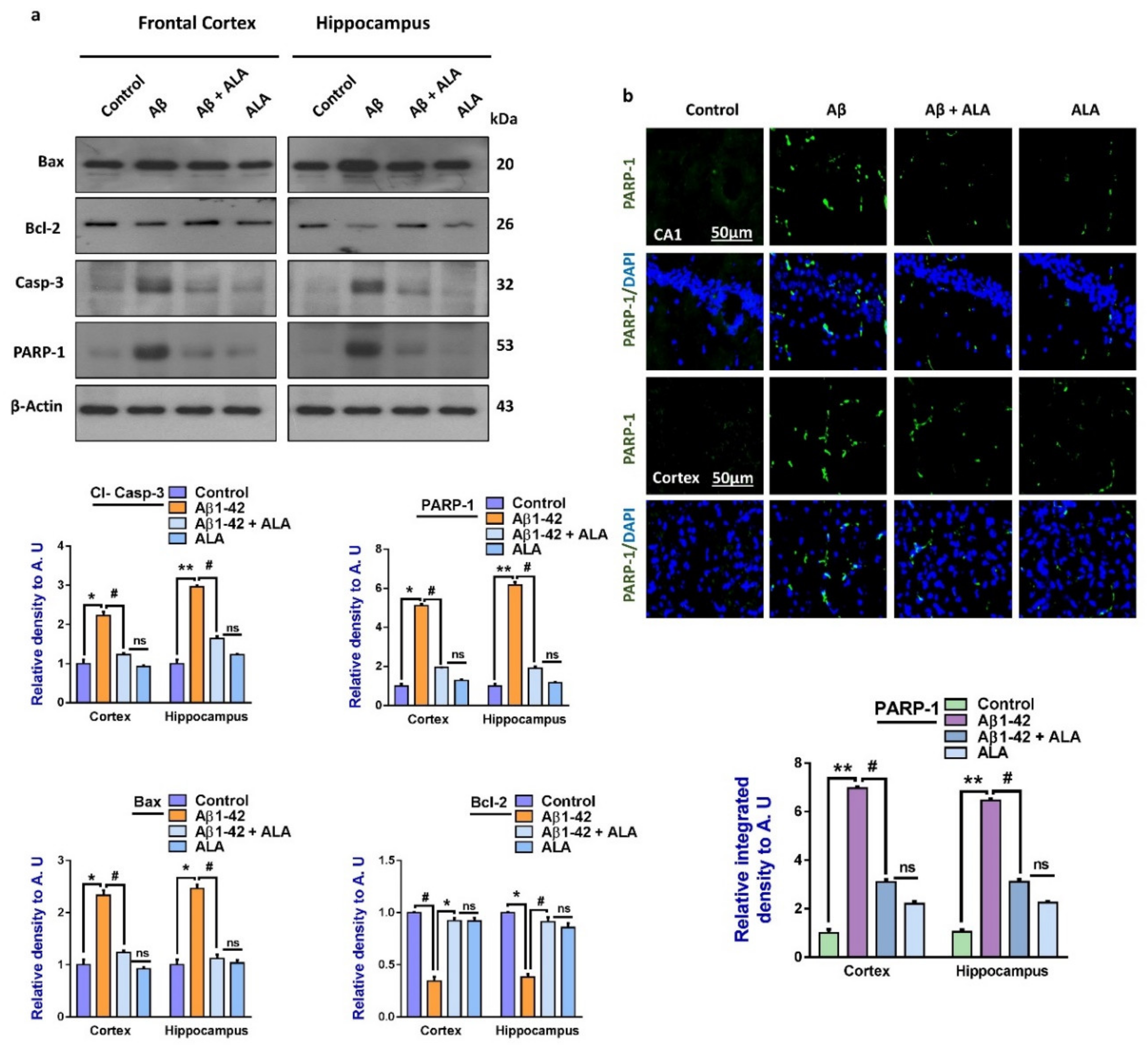 Cells 09 00667 g003 Cells 09 00667 g003