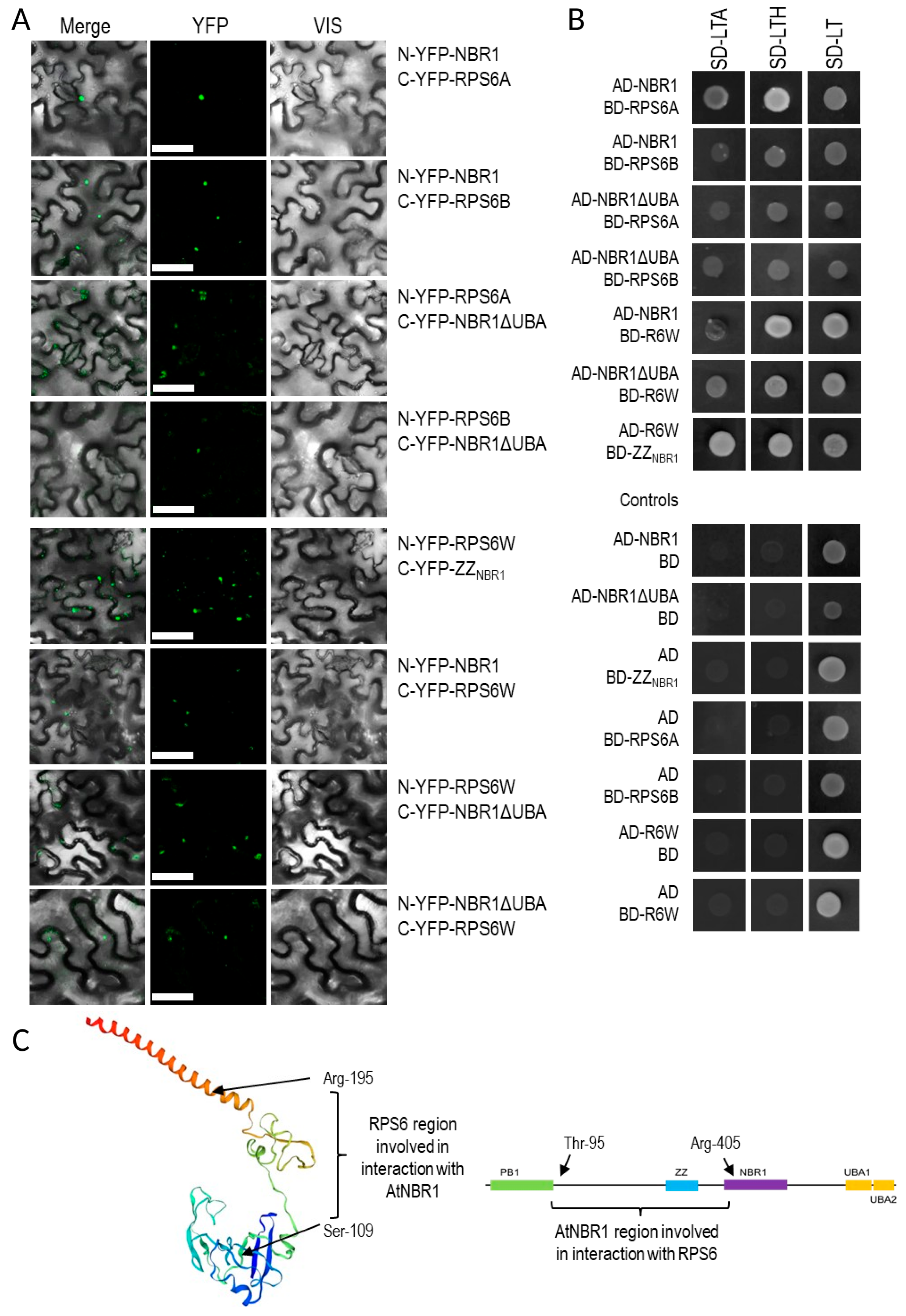 Cells 09 00669 g008a