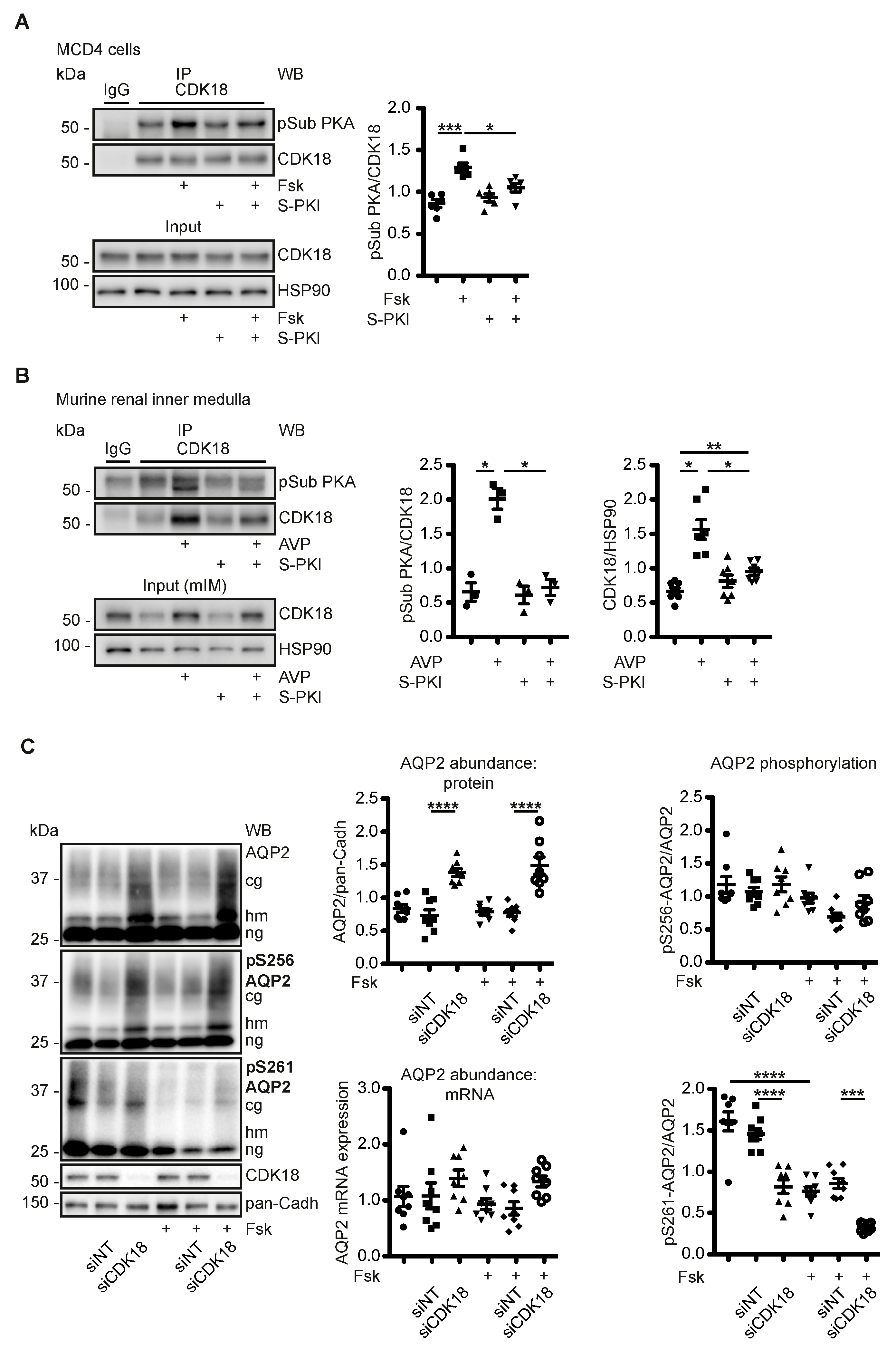 Cells 09 00673 g002