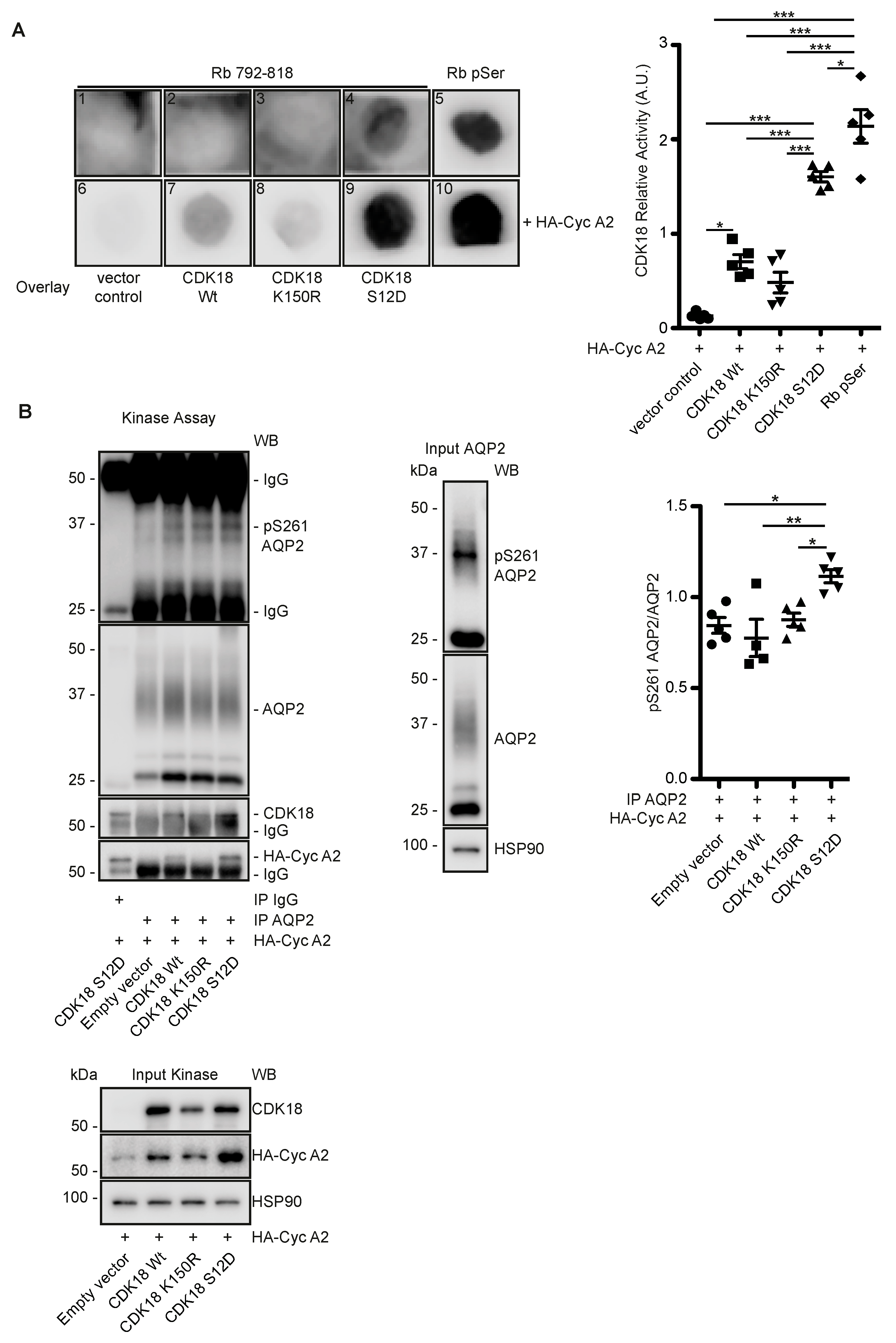 Cells 09 00673 g003