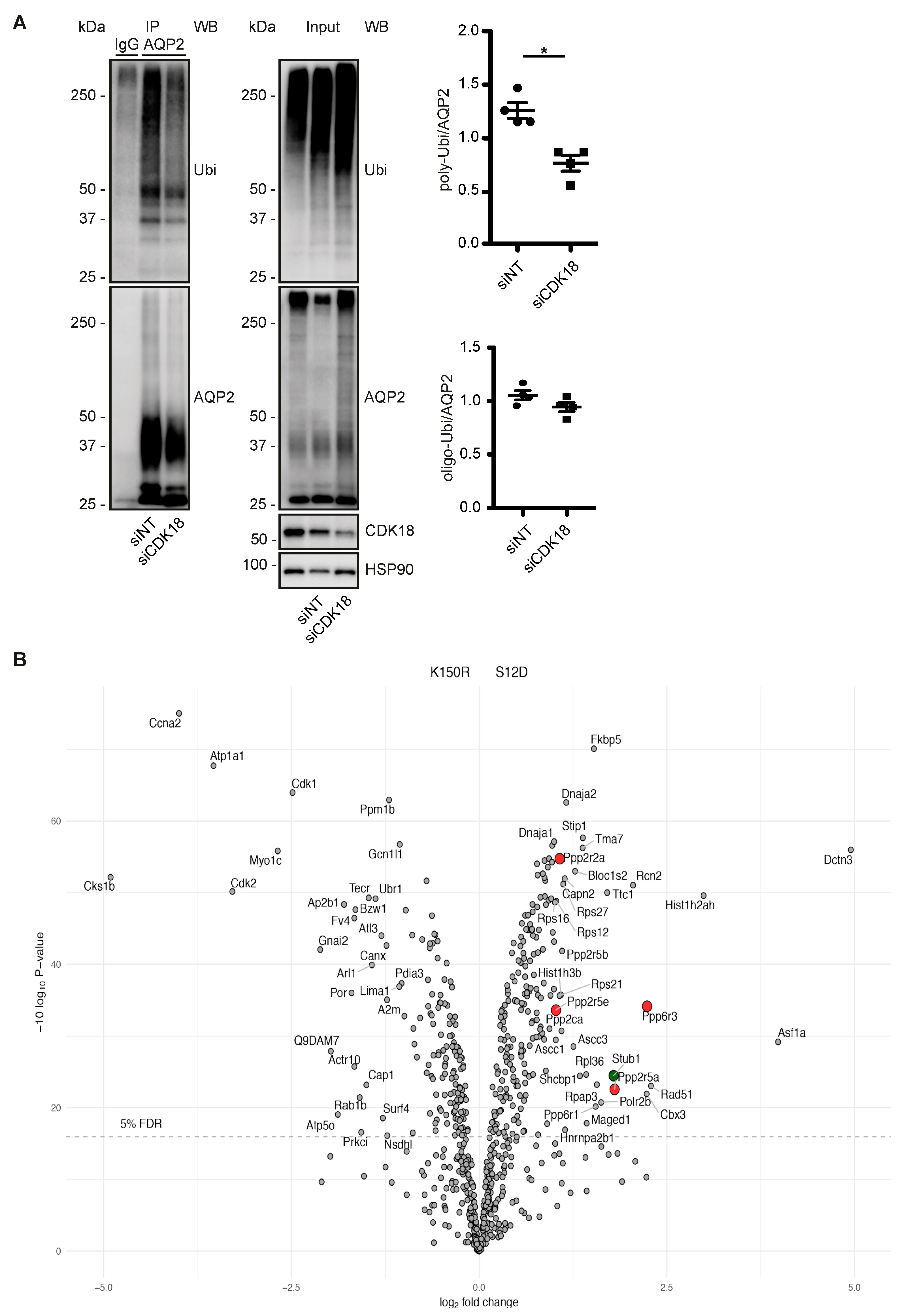 Cells 09 00673 g004a