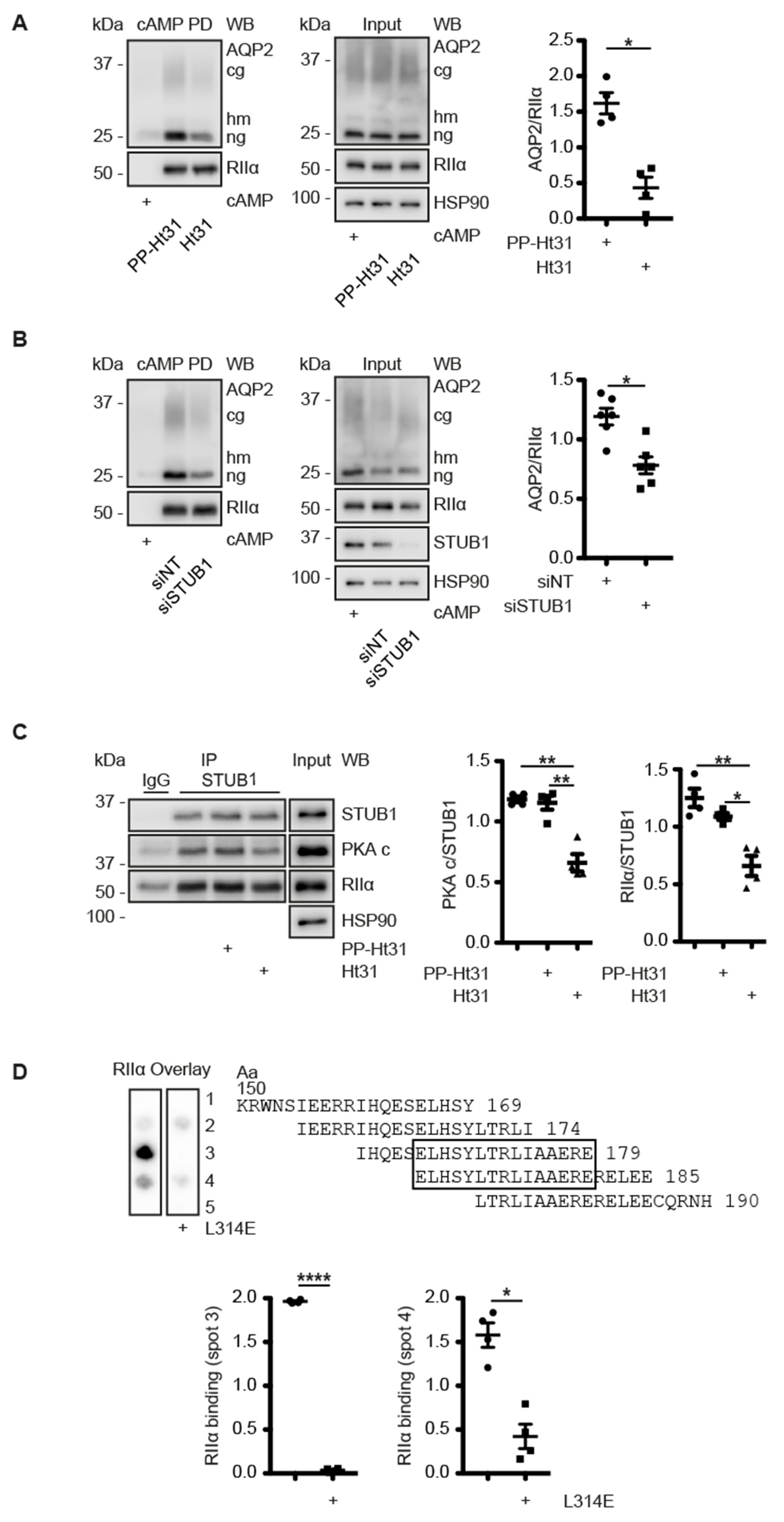 Cells 09 00673 g005a
