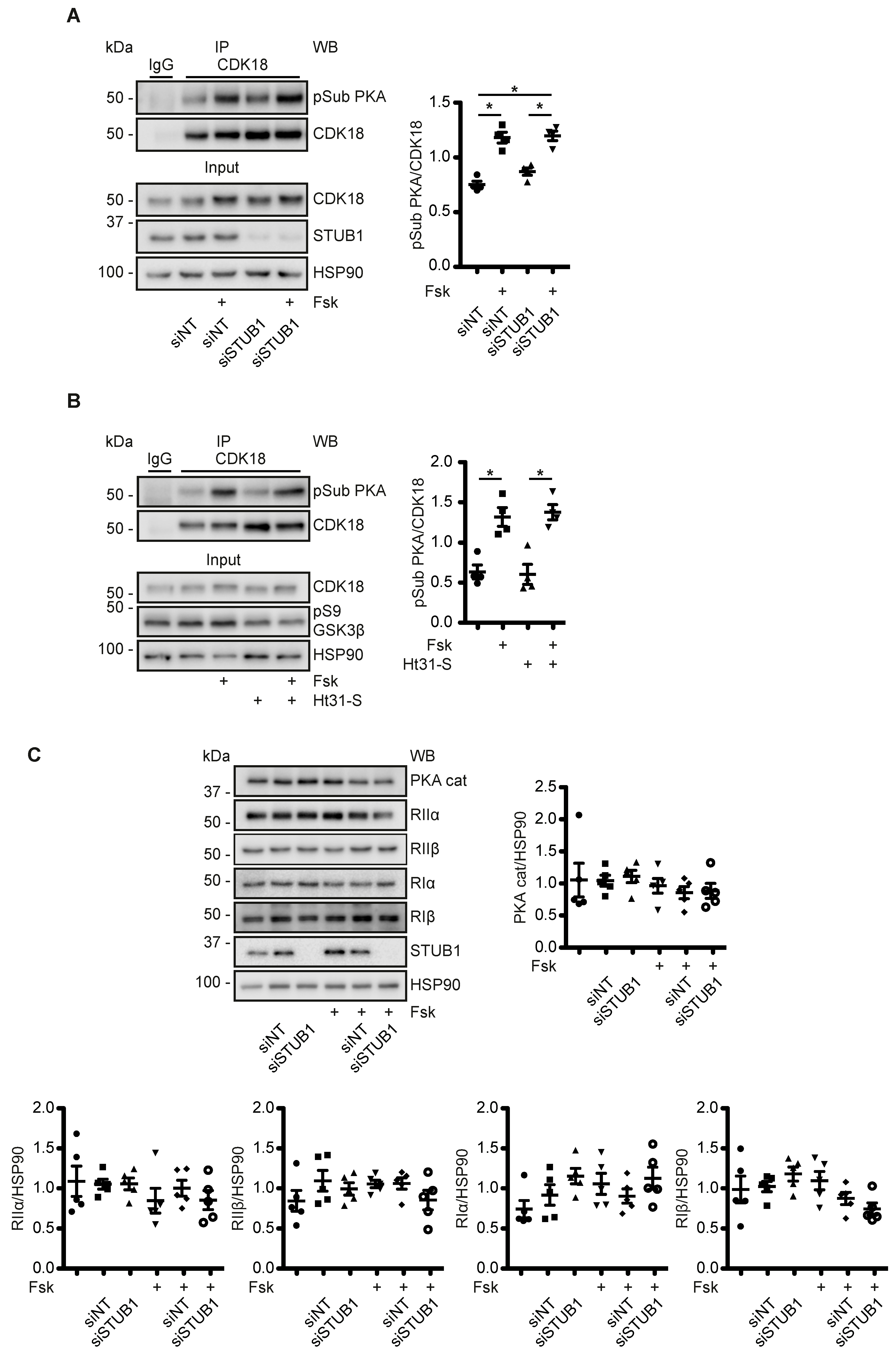 Cells 09 00673 g006