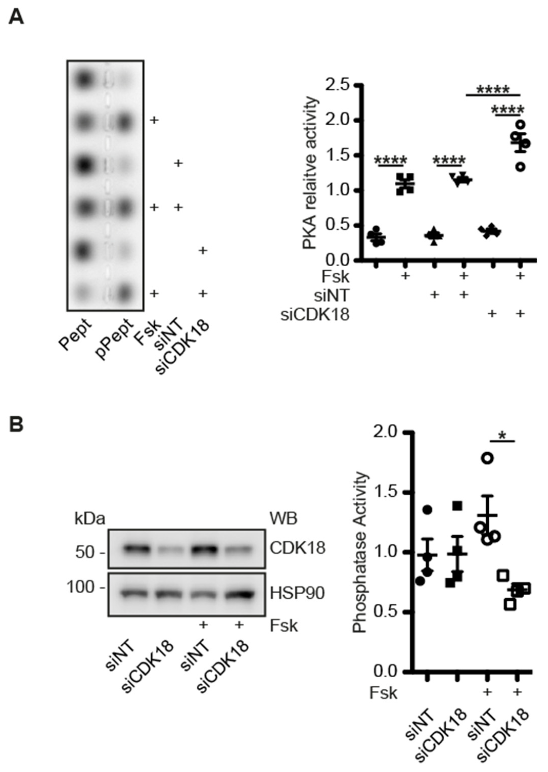 Cells 09 00673 g007