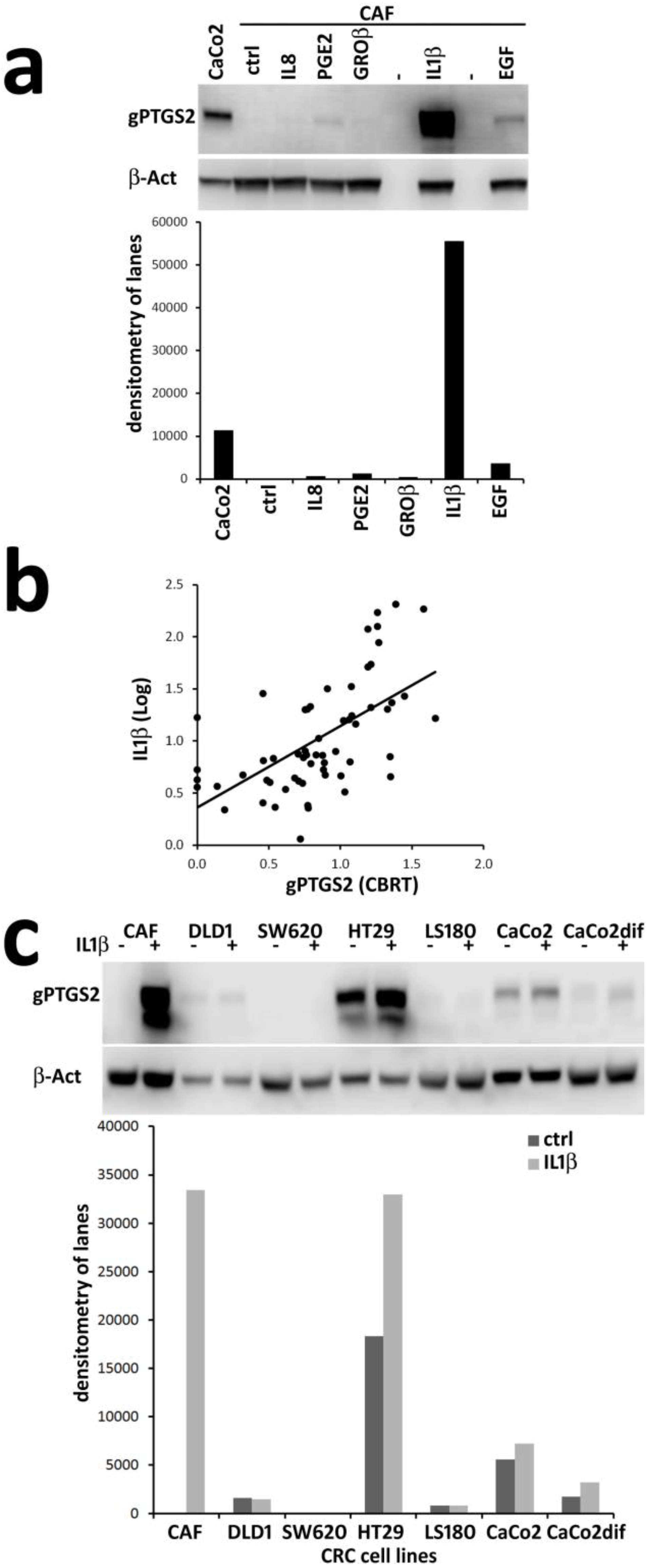 Cells 09 00683 g006 Cells 09 00683 g006