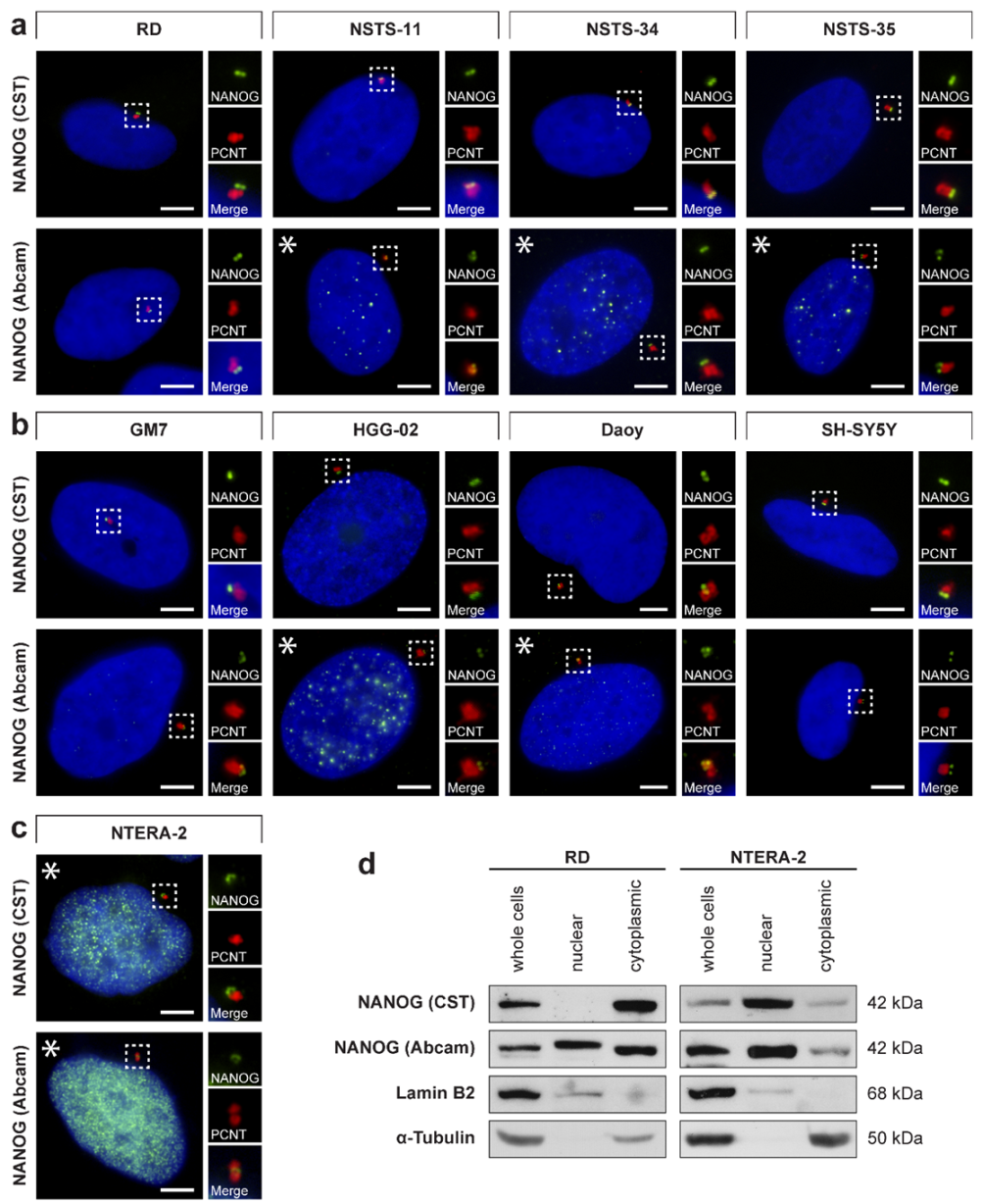 Cells 09 00692 g003