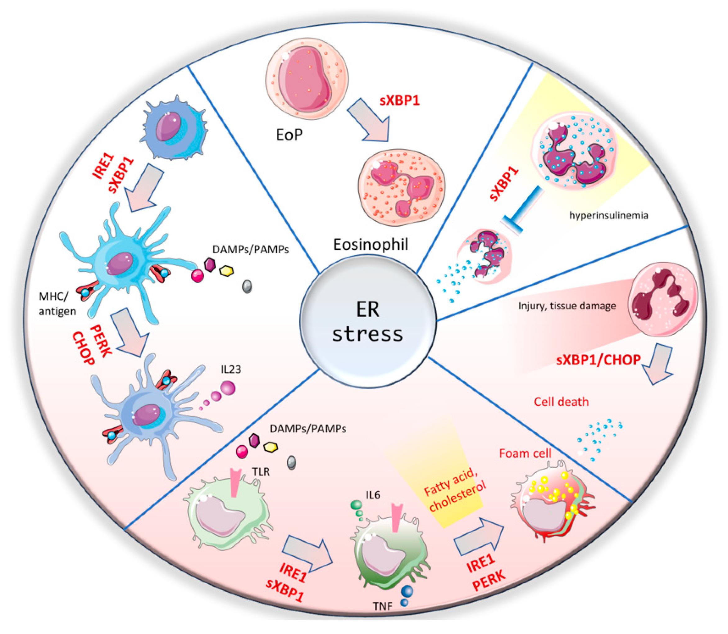 Cells 09 00695 g002 Cells 09 00695 g002