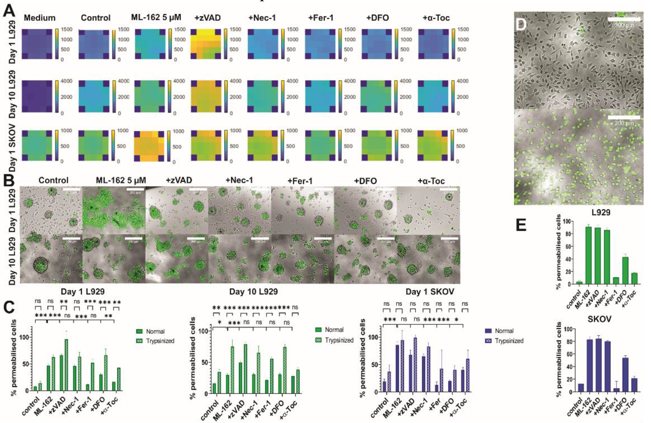 Cells 09 00703 g004 Cells 09 00703 g004