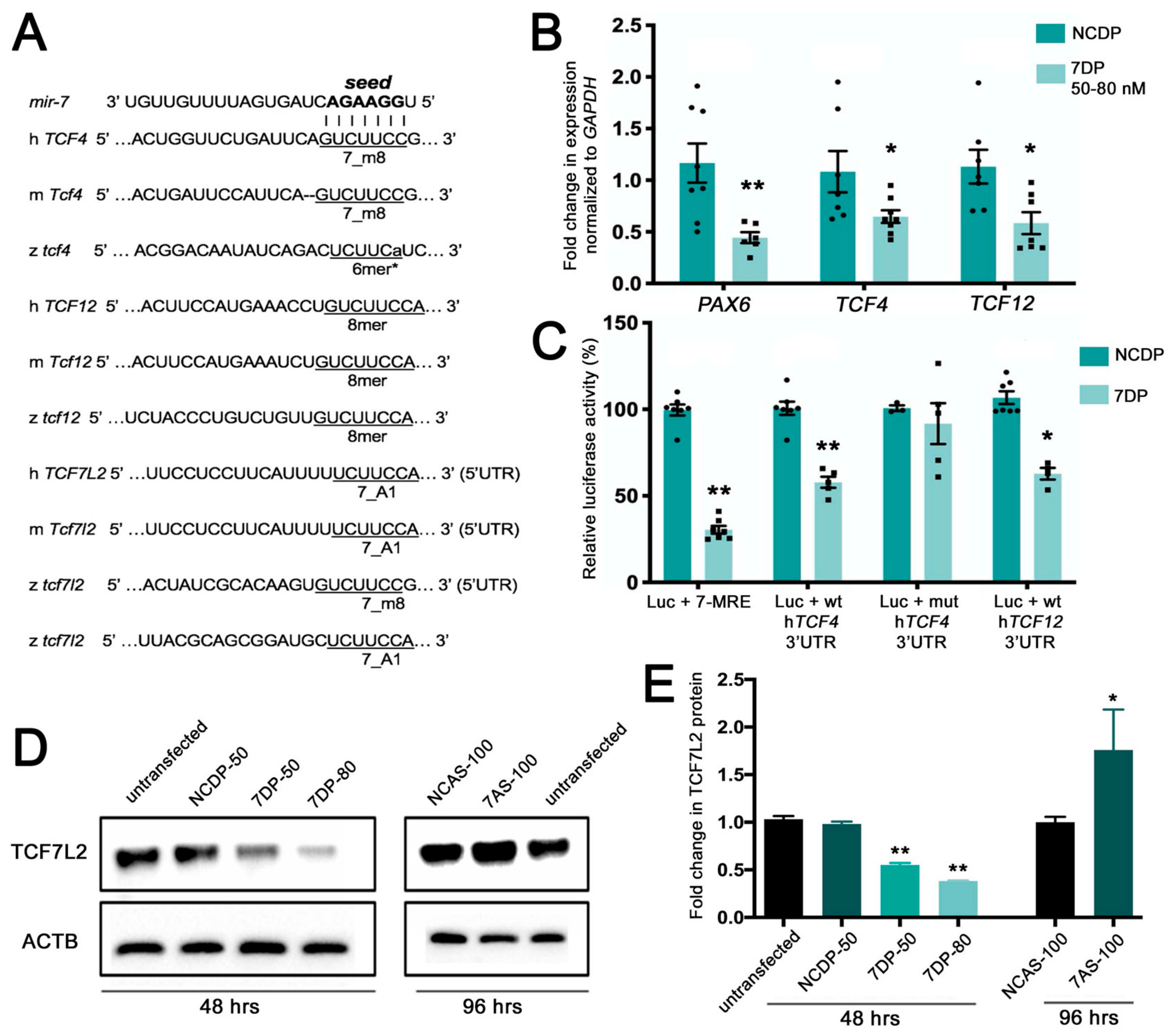 Cells 09 00711 g001 Cells 09 00711 g001