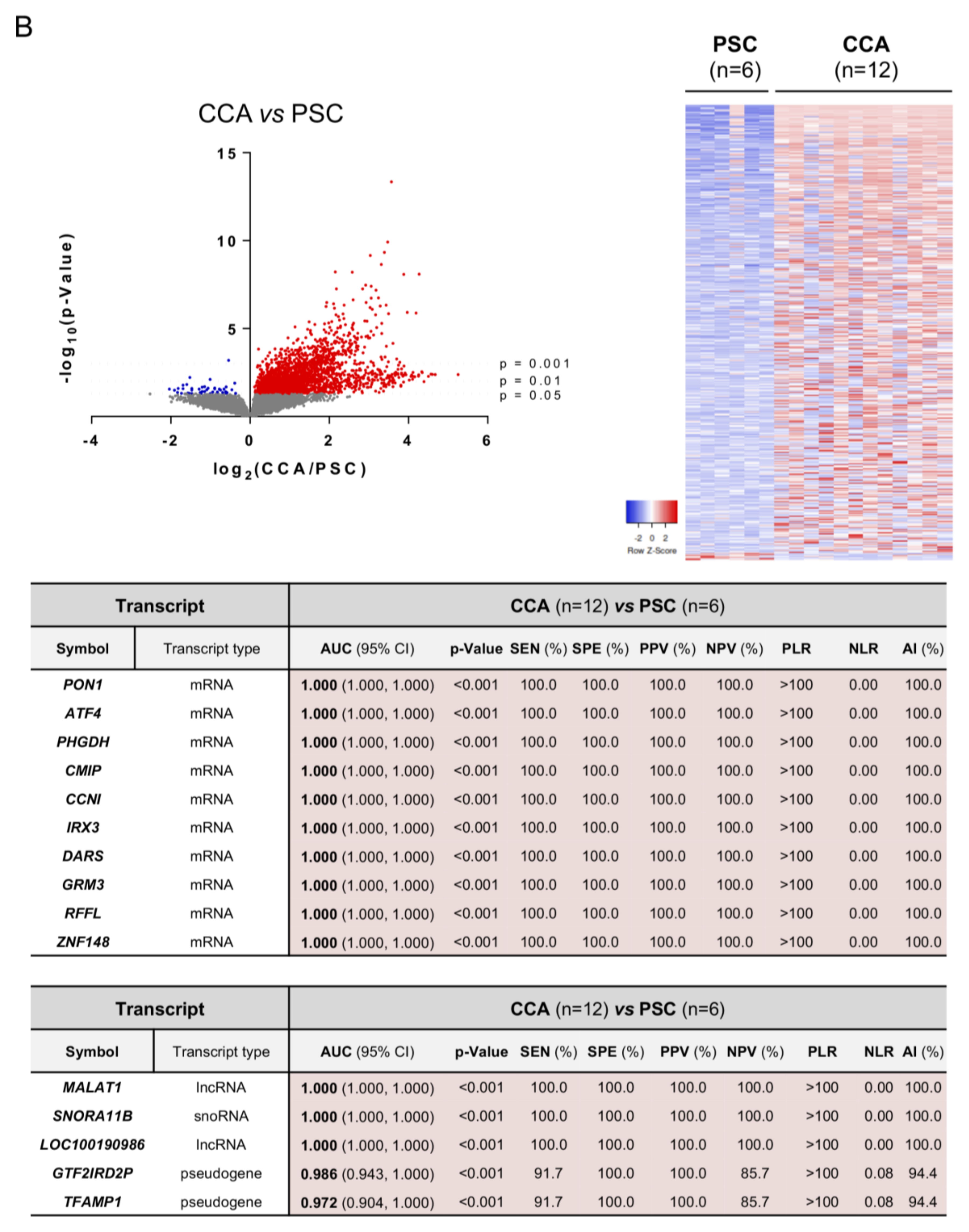 Cells 09 00721 g003b