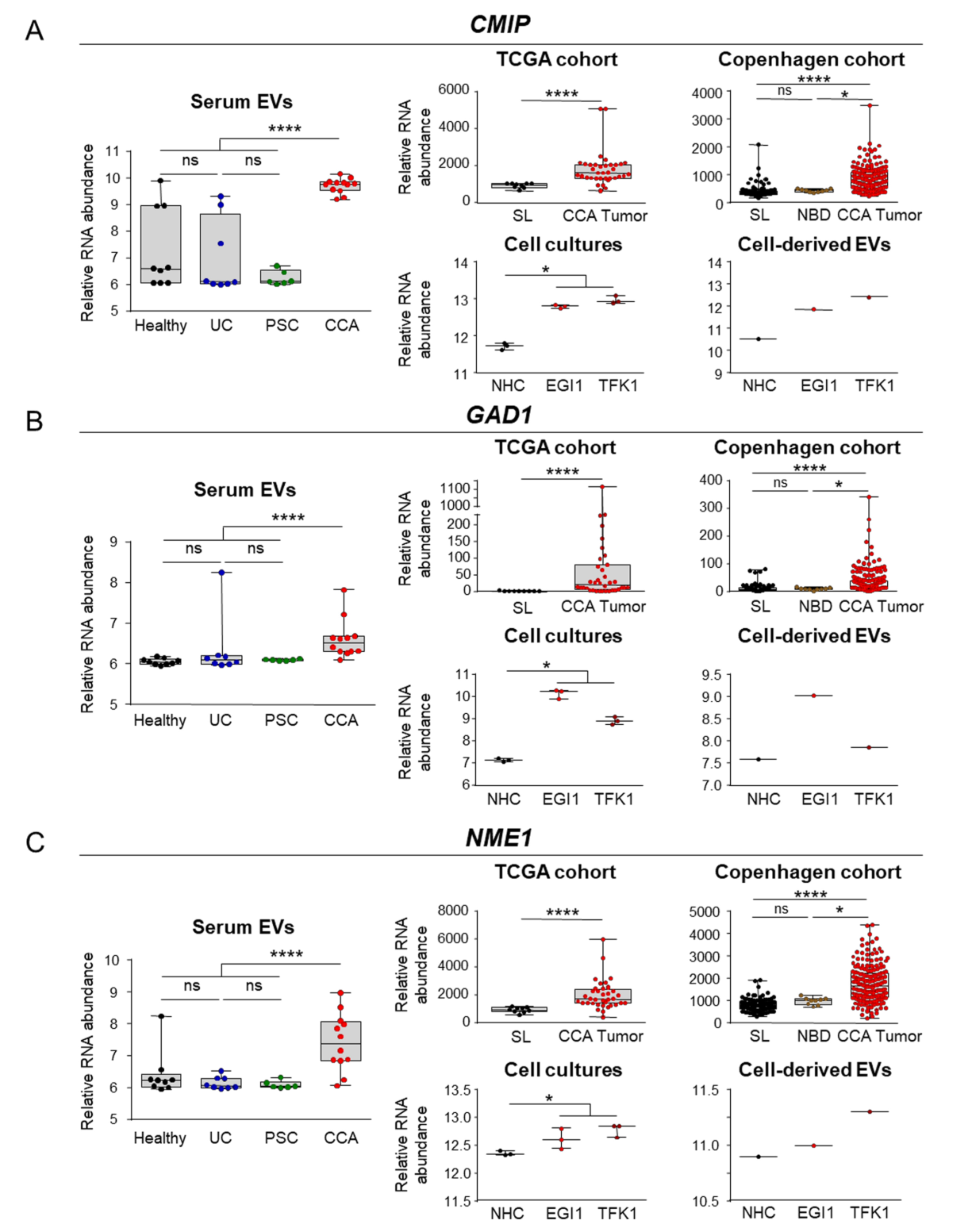 Cells 09 00721 g005a